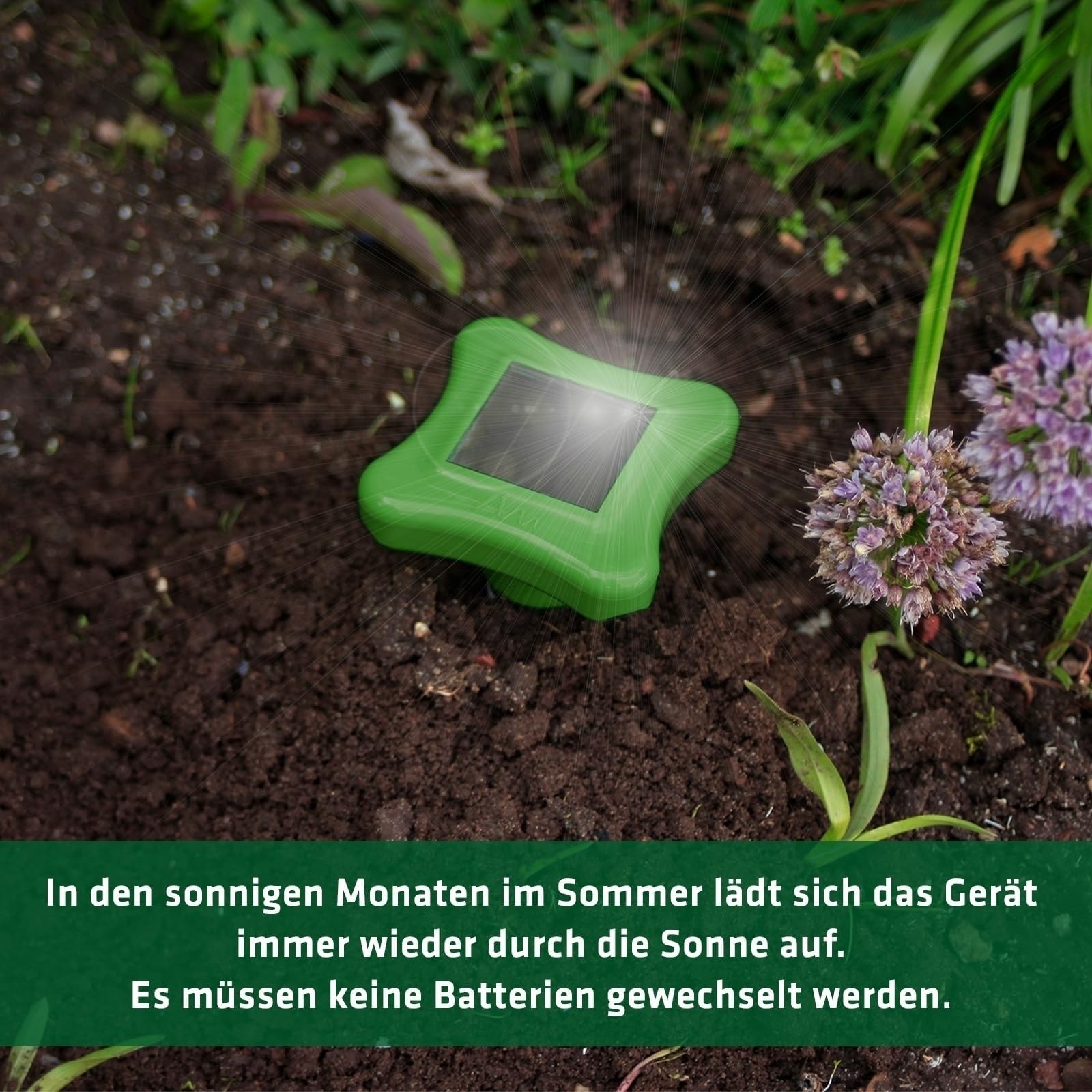 gardigo-m-use-feind-maulwurfvertreiber-solar-4er-set-700m image 6