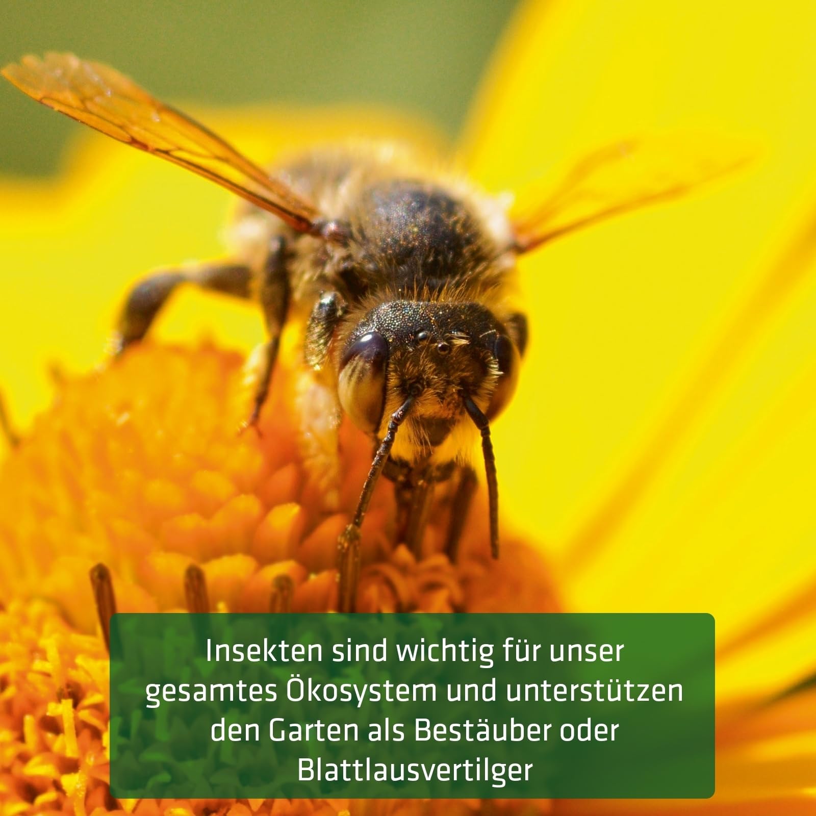 gardigo-gardosi-insektenhotel-bausatz-diy-set-fichtenholz image 7