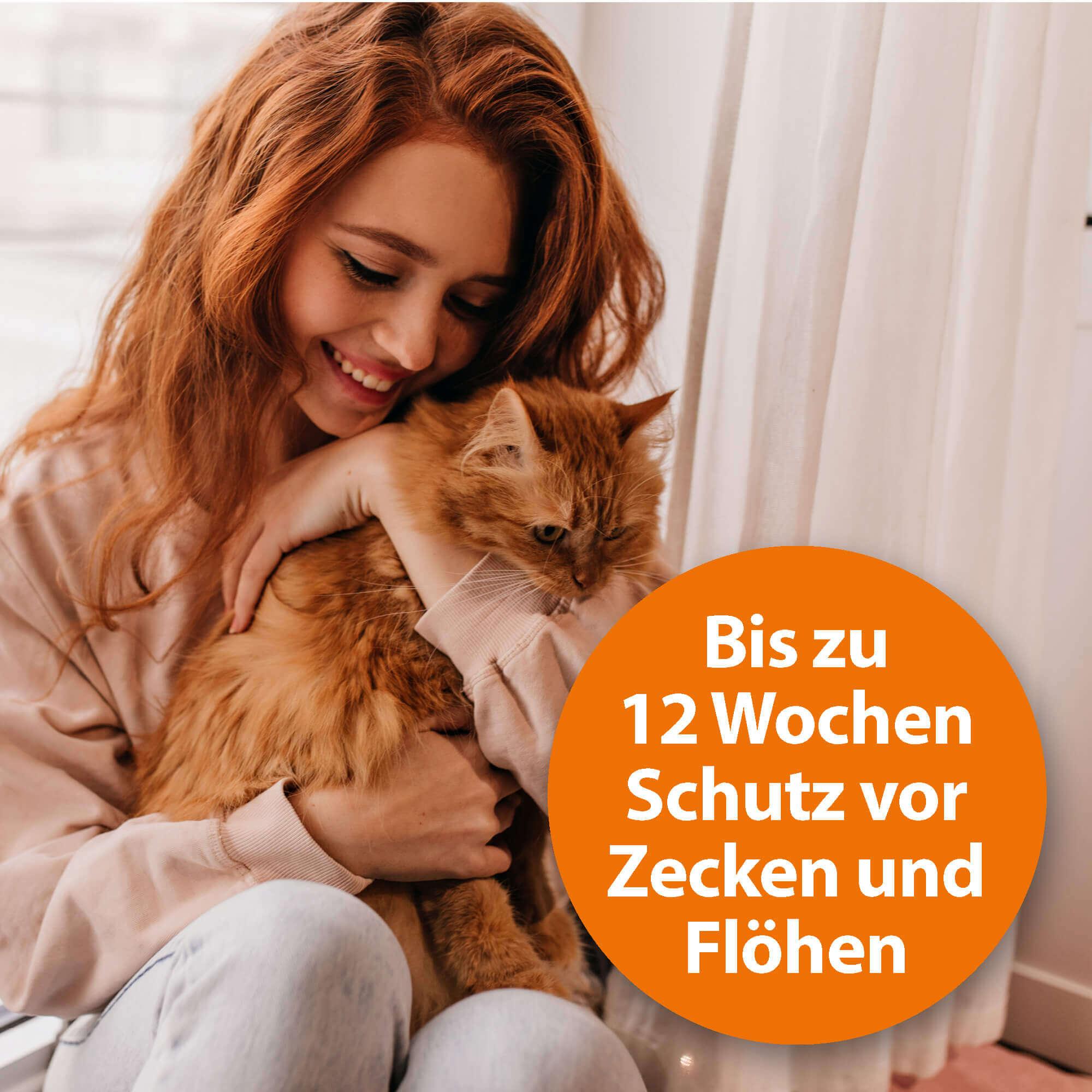 ardap-spot-on-f-r-katzen-3-tuben-bis-12-wochen-schutz image 4