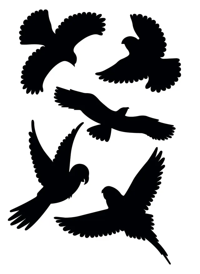 gardigo-vogel-frei-vogelabwehr-aufkleber-schwarz-5-st-ck image 1