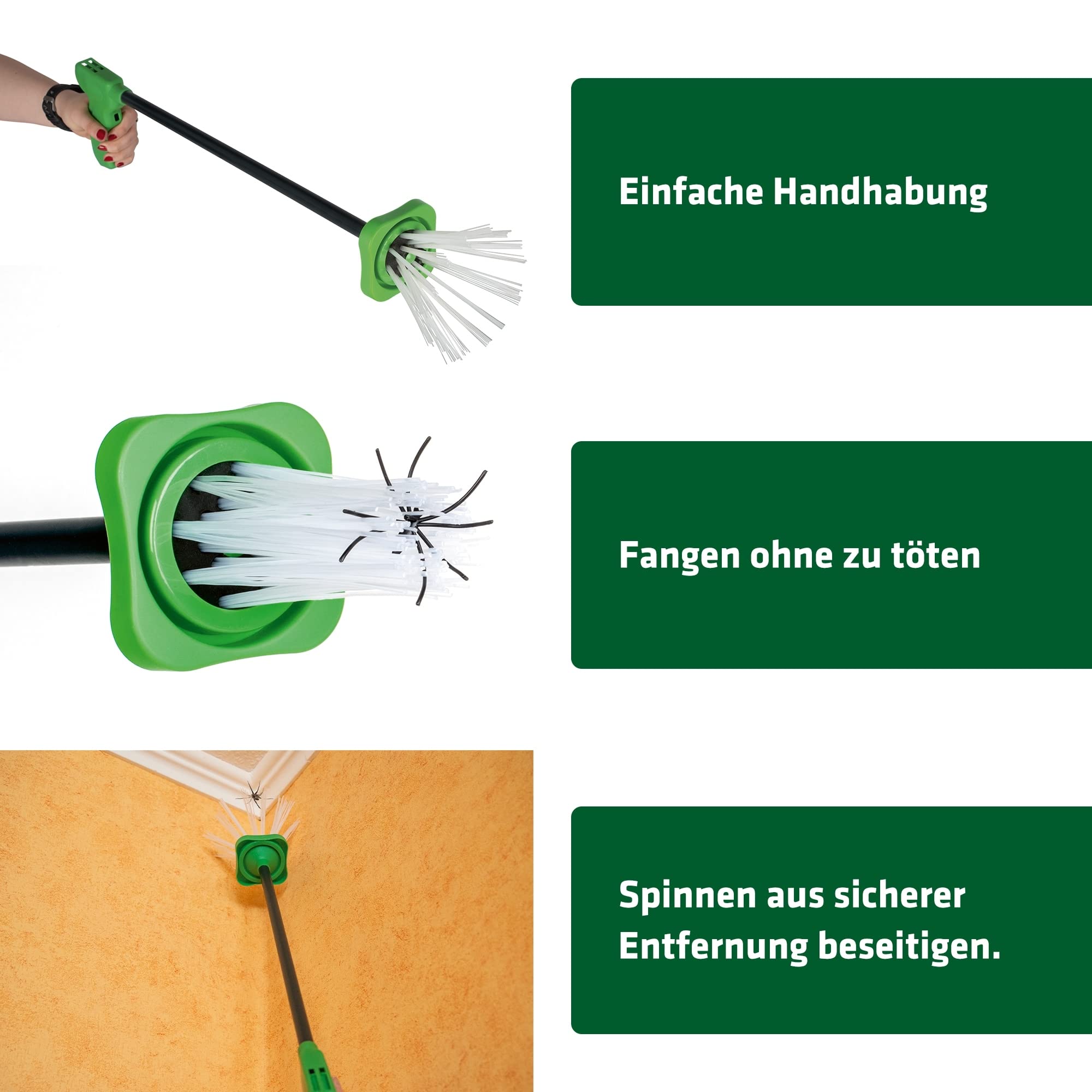 gardigo-m-use-feind-spinnenf-nger-65-cm-lebend-fangen image 3