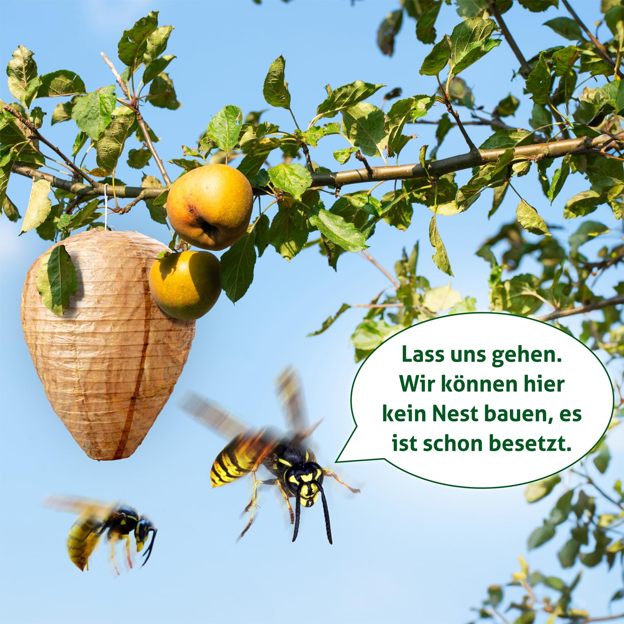 gardigo-wespenwedler-wespennest-attrappe-papier-4er-set-giftfrei image 2