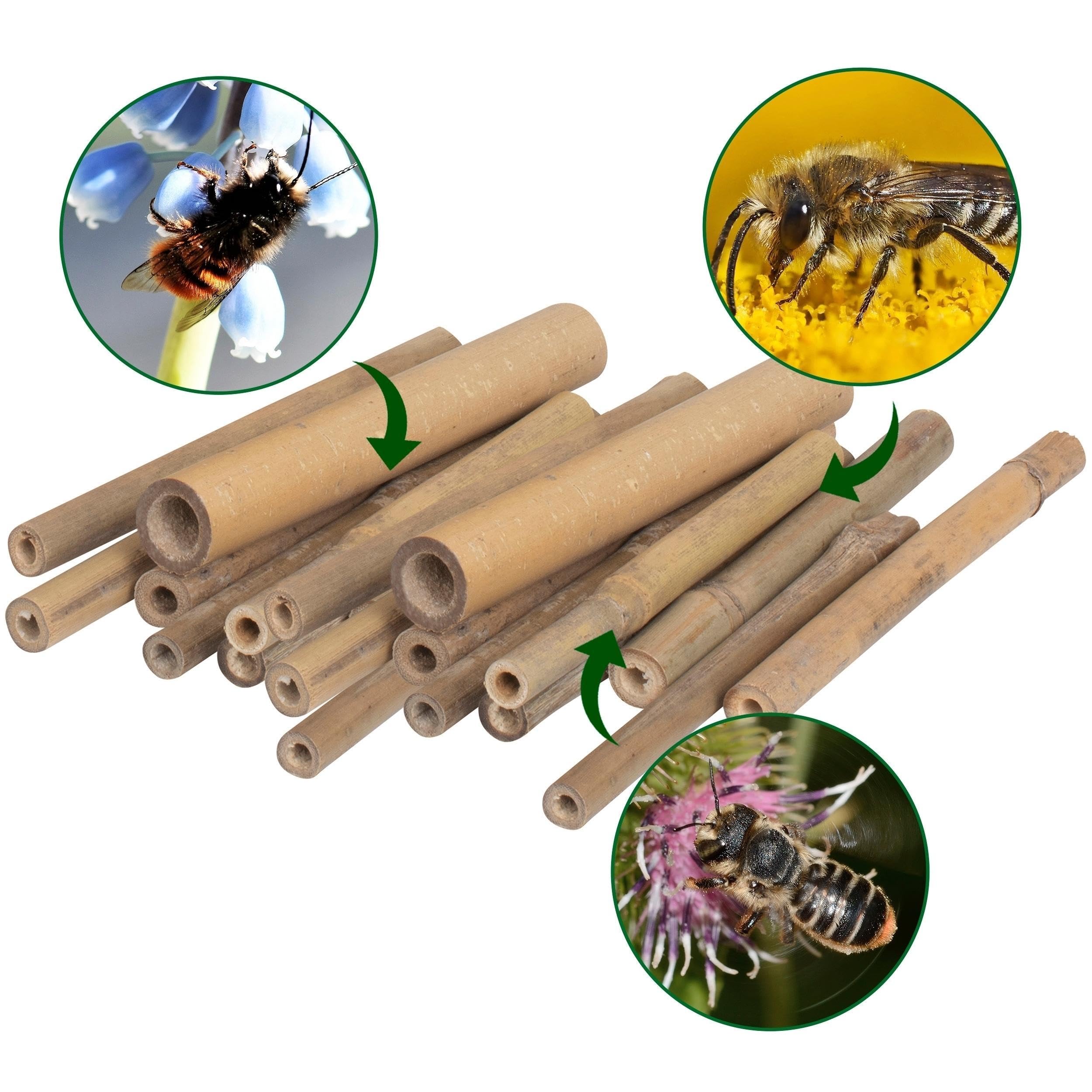 gardigo-gardosi-bambusr-hrchen-insektenhotel-150-st-ck image 4