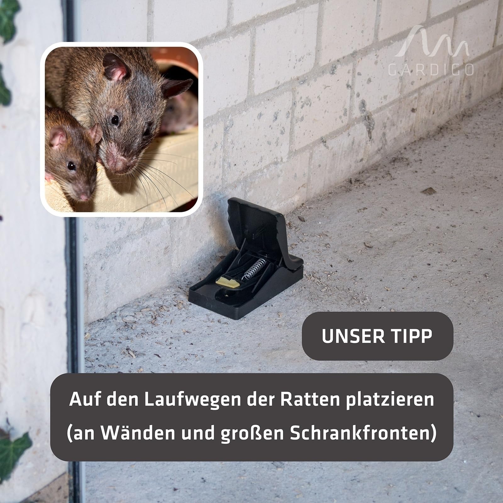 gardigo-m-use-feind-rattenfalle-2er-set-kunststoff-mit-k-der image 4