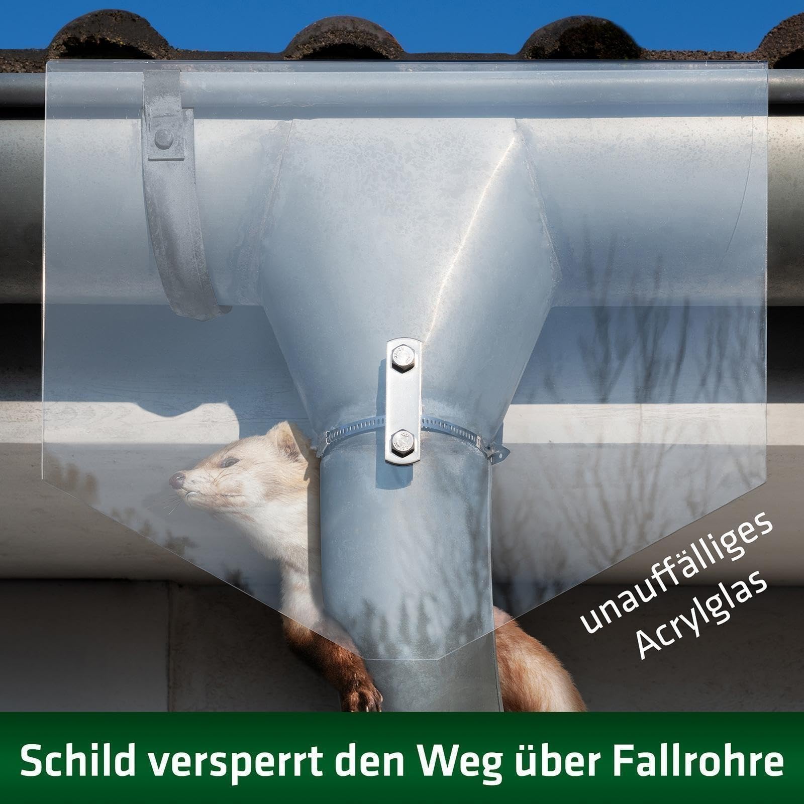 gardigo-marder-frei-marderabwehr-schild-fallrohr-40x35cm-acrylglas image 2