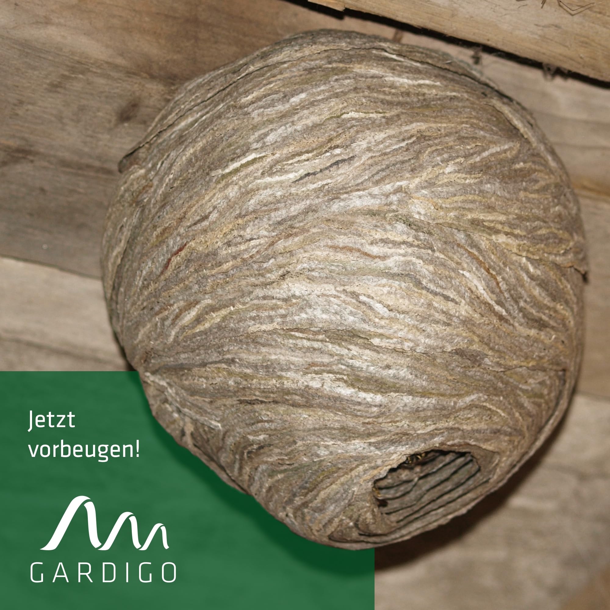 gardigo-wespenwedler-wespennest-attrappe-papier-4er-set-giftfrei image 5