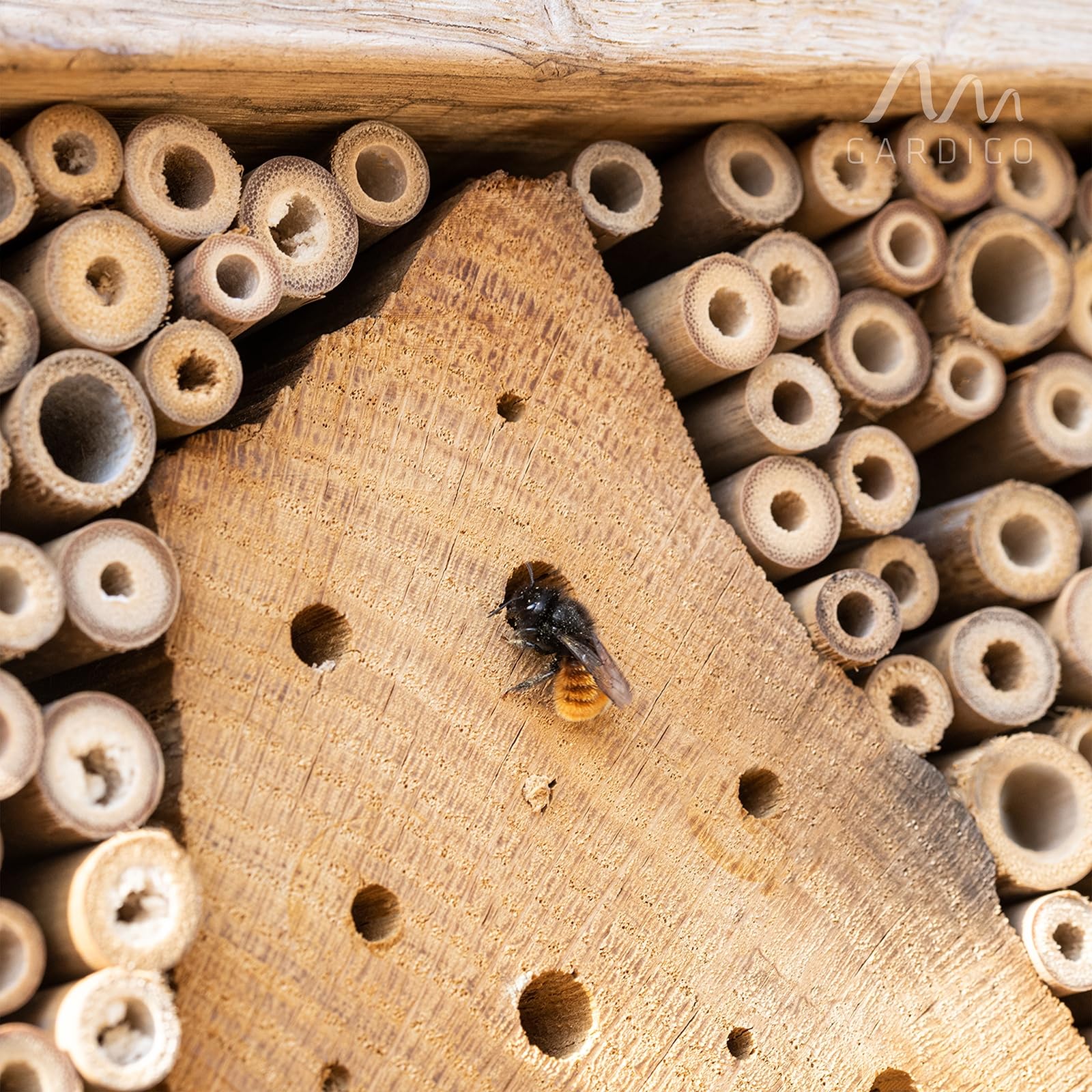 gardigo-tier-haus-premium-insektenhotel-holz-gro-wildbienen image 5
