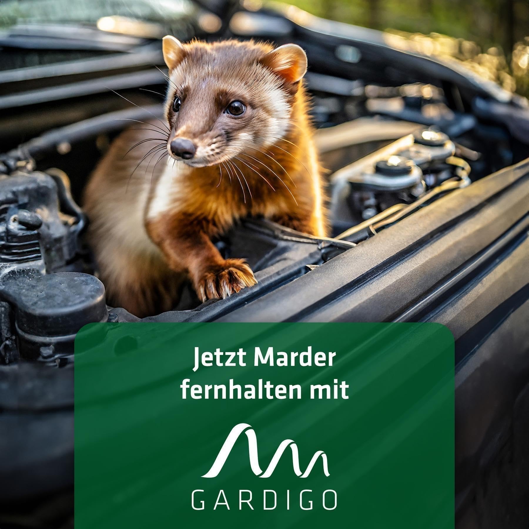 gardigo-marder-frei-marderschreck-auto-batterie-ultraschall-2 image 7