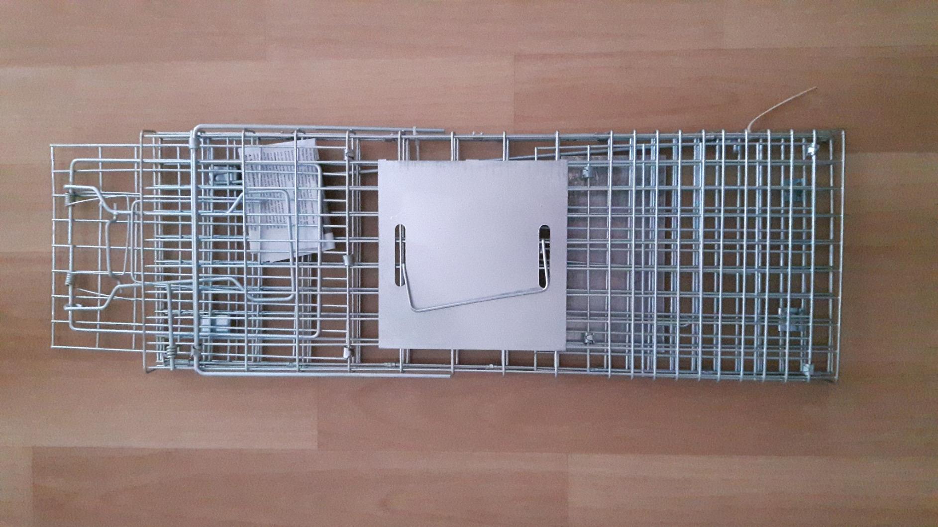 Einfach zu ködern