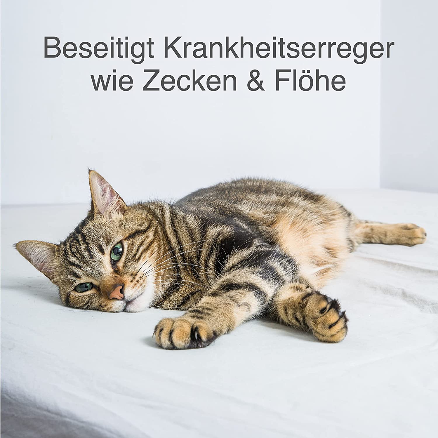 envira-vet-pet-protect-spray-500ml-gegen-zecken-fl-he image 7