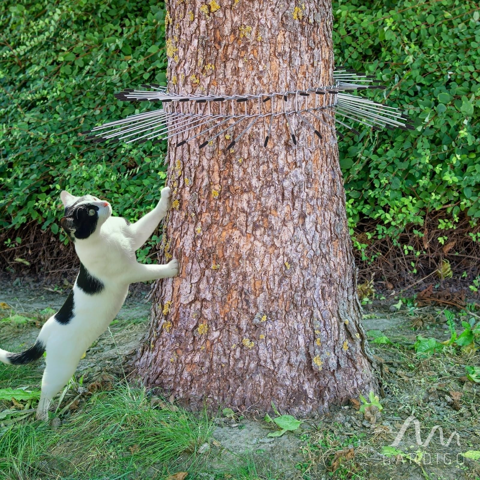gardigo-vogel-frei-katzenabwehrg-rtel-2er-set-baumschutz-verzinkt image 4
