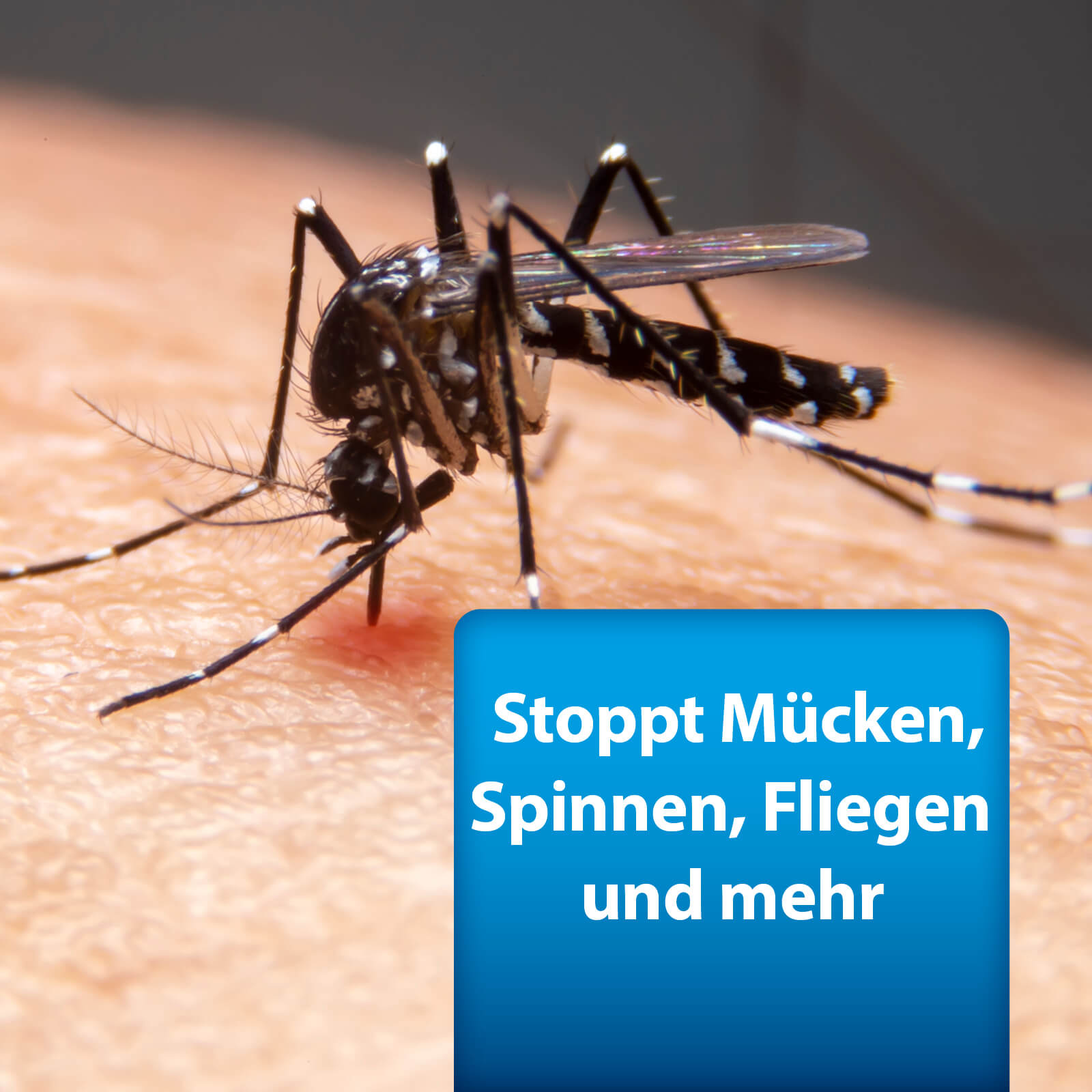 ardap-pro-ungezieferspray-750-ml-langzeitwirkung image 5