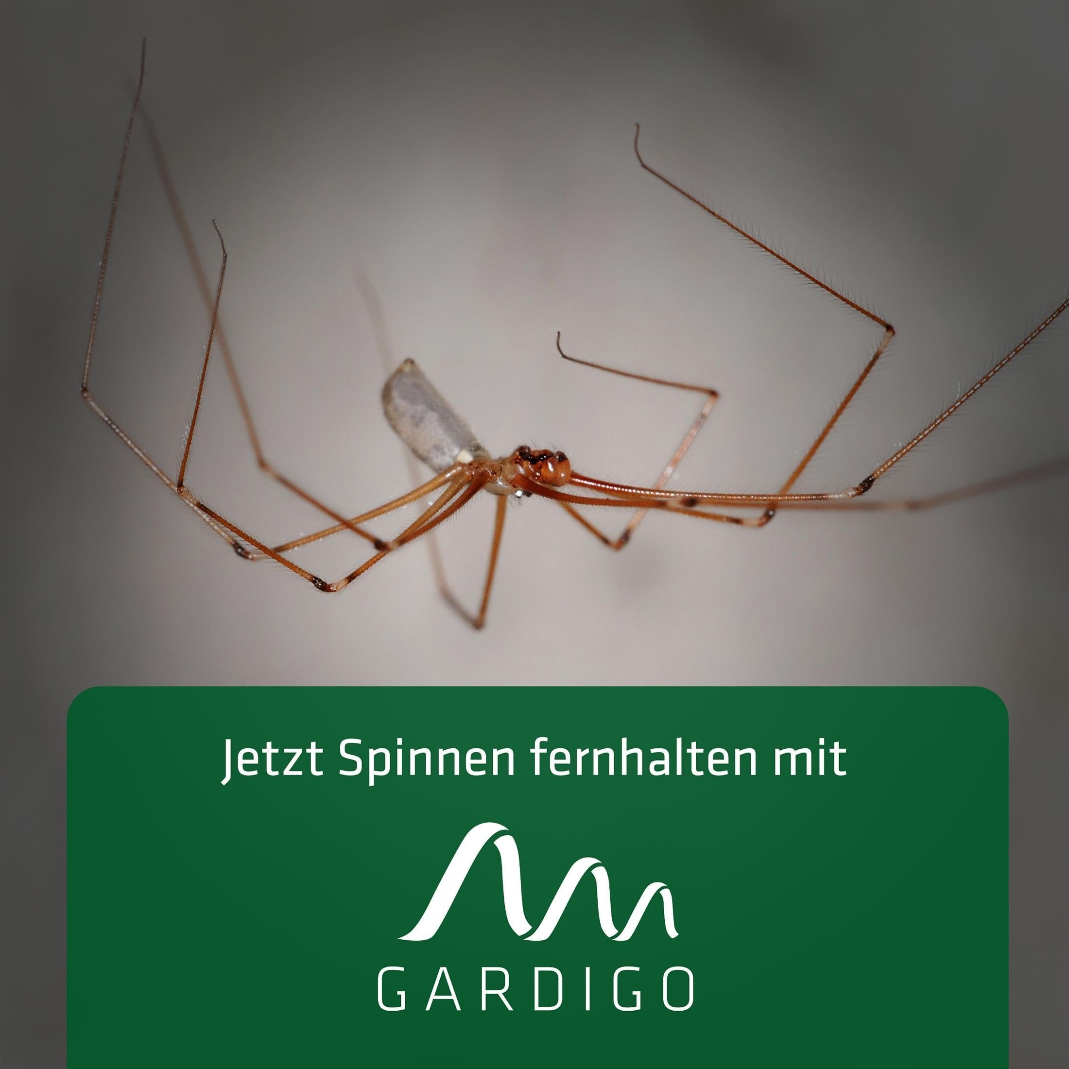 gardigo-vario-schutz-spinnenabwehr-stecker-ultraschall image 6