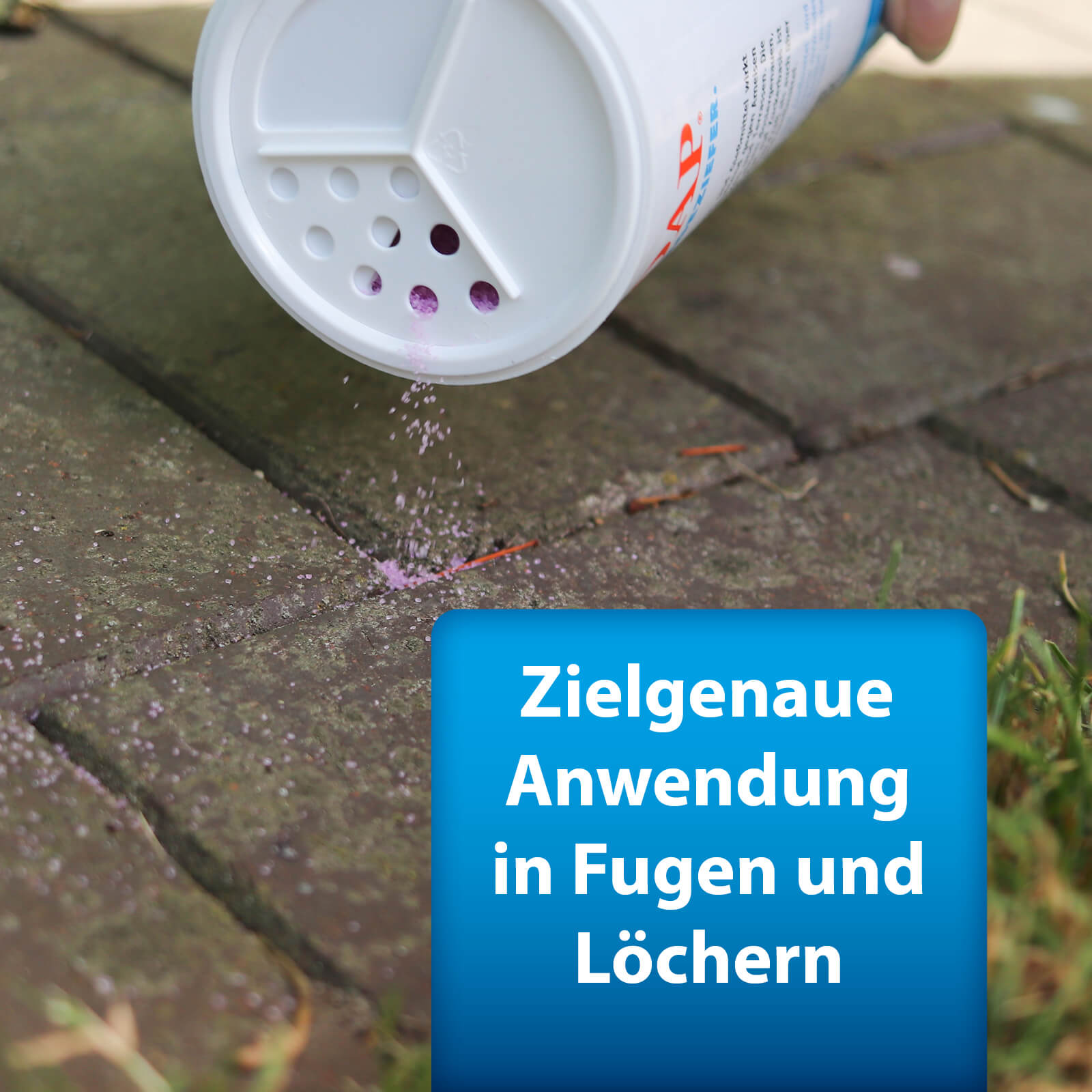 ardap-pro-anti-ameisen-set-ameisenmittel image 3