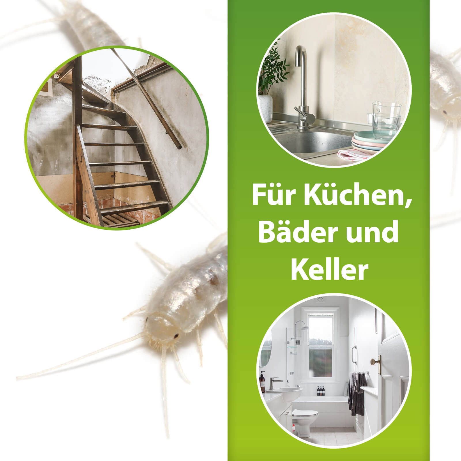ardap-repell-silberfischchen-spray-zerst-uber-500-ml image 3