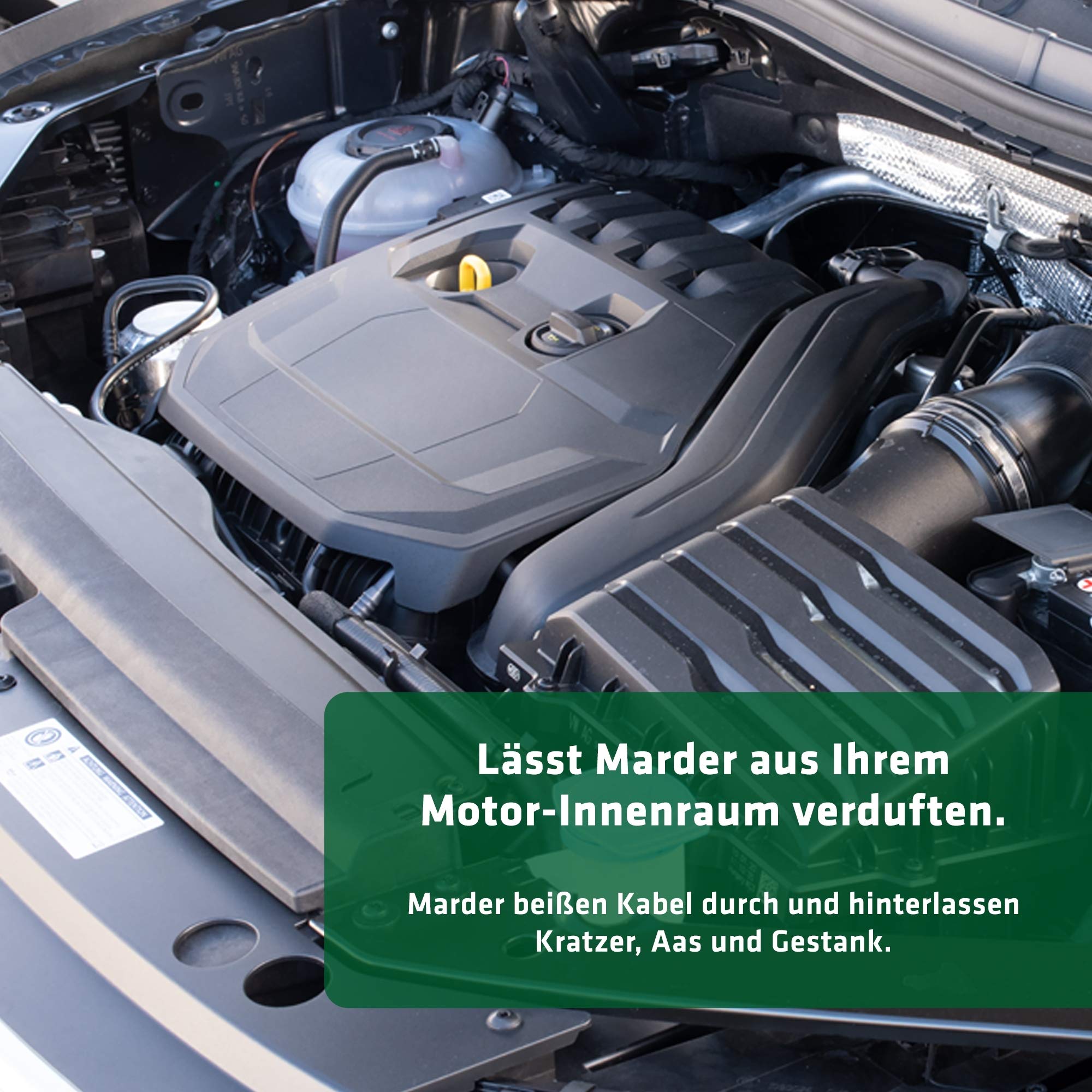 gardigo-marder-frei-marderspray-2er-set-eukalyptus-f-r-auto image 4