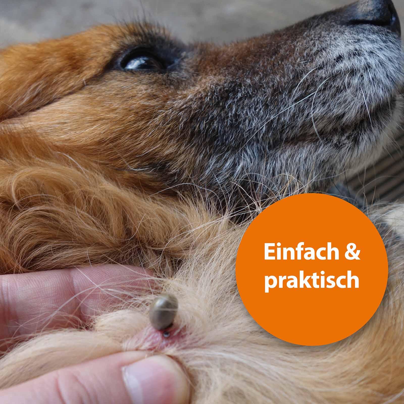 ardap-repell-zeckenhaken-3er-set-f-r-hund-und-katze image 4