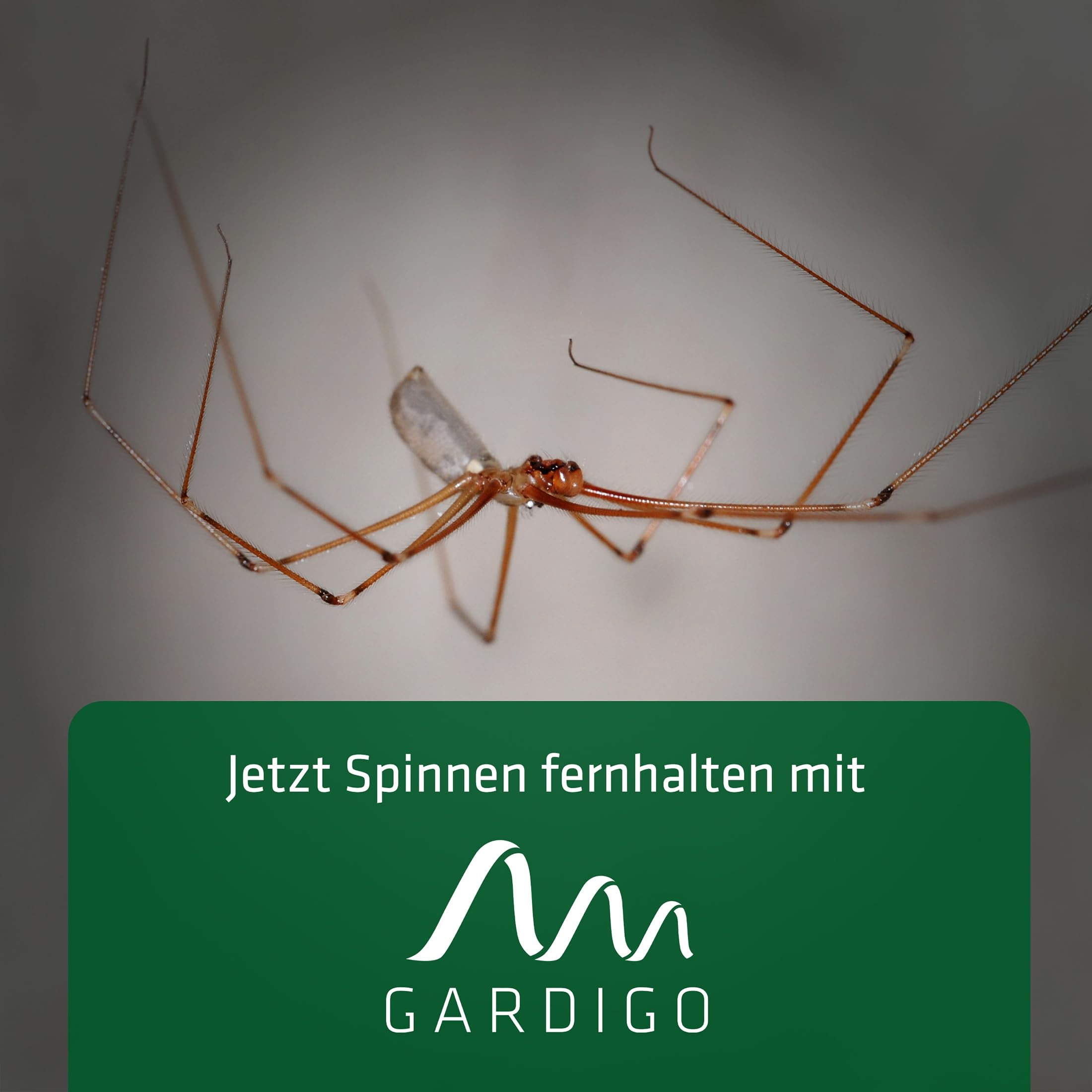 gardigo-vario-schutz-spinnenabwehr-stecker-2er-set image 6