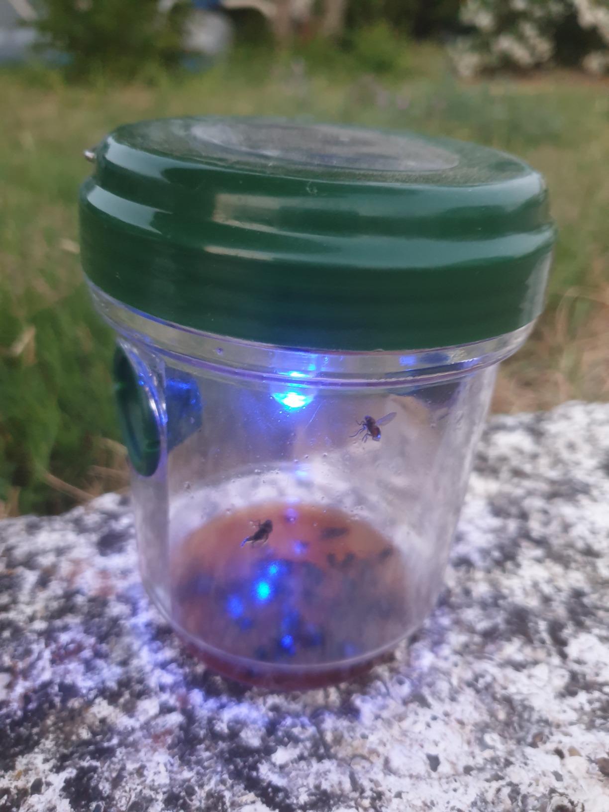 Solar klappt