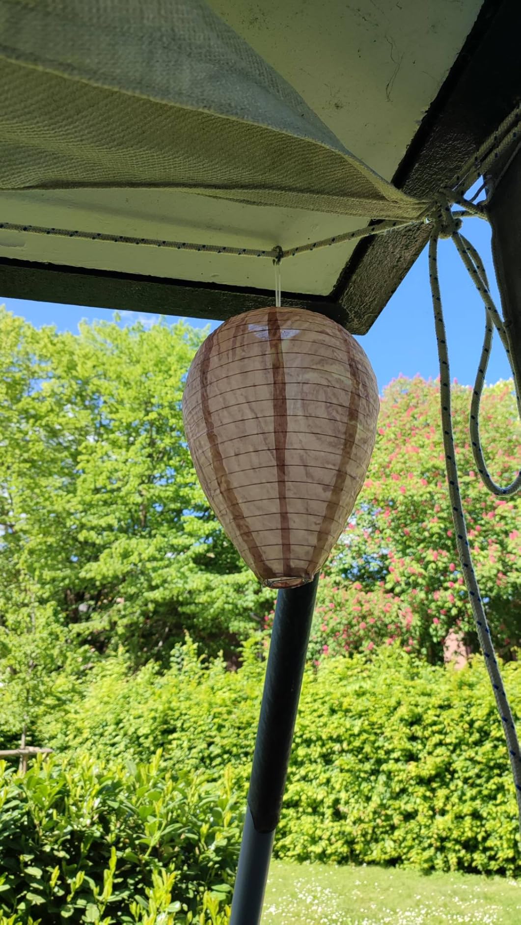 Ruhe auf der Terrasse