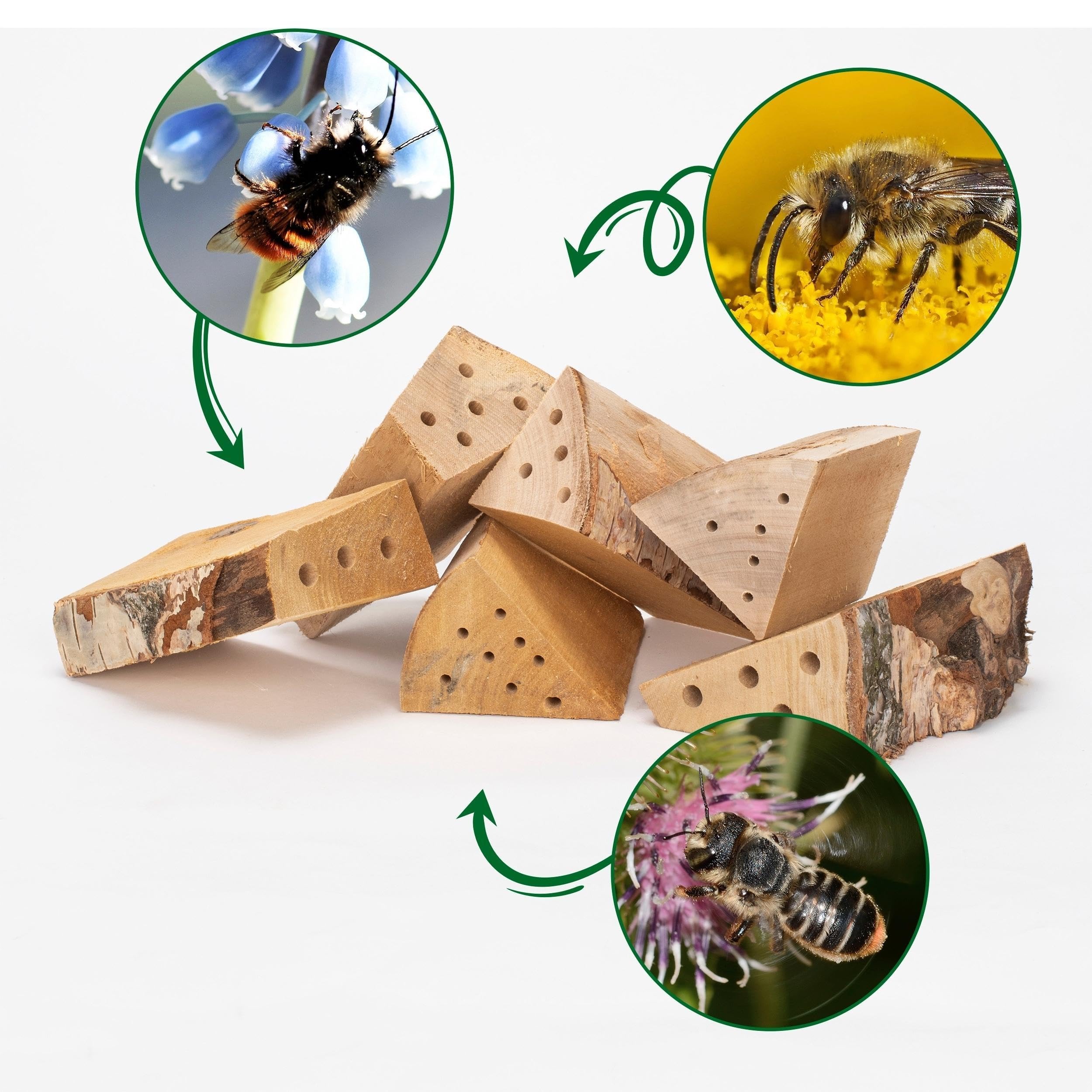 gardigo-gardosi-nistholz-insektenhotel-nachf-llpack-6-st-ck-buche image 4