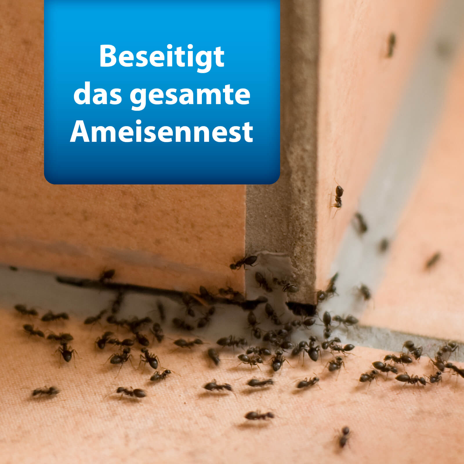 ardap-pro-ameisenk-derdose-3-st-ck-mit-nestwirkung image 3