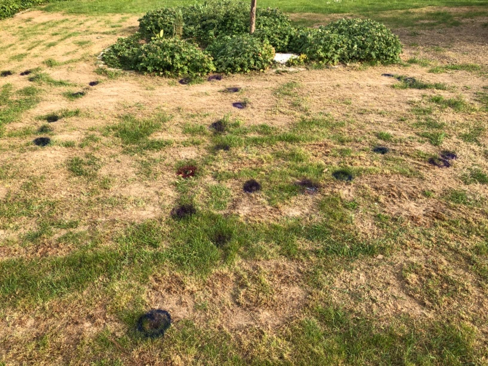 Top für Garten