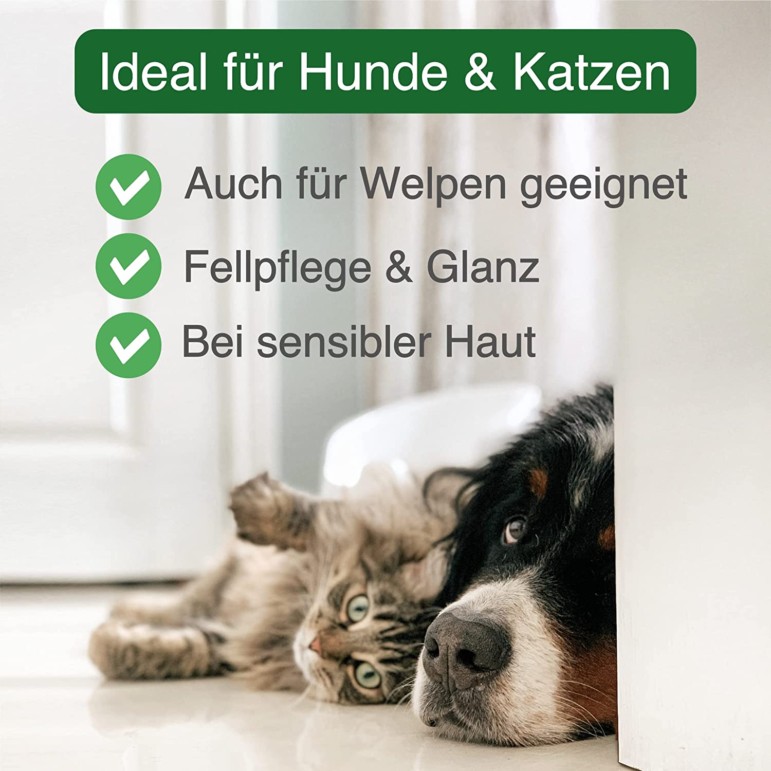 envira-vet-anti-parasiten-shampoo-hund-katze-400ml-mit-geraniol image 6
