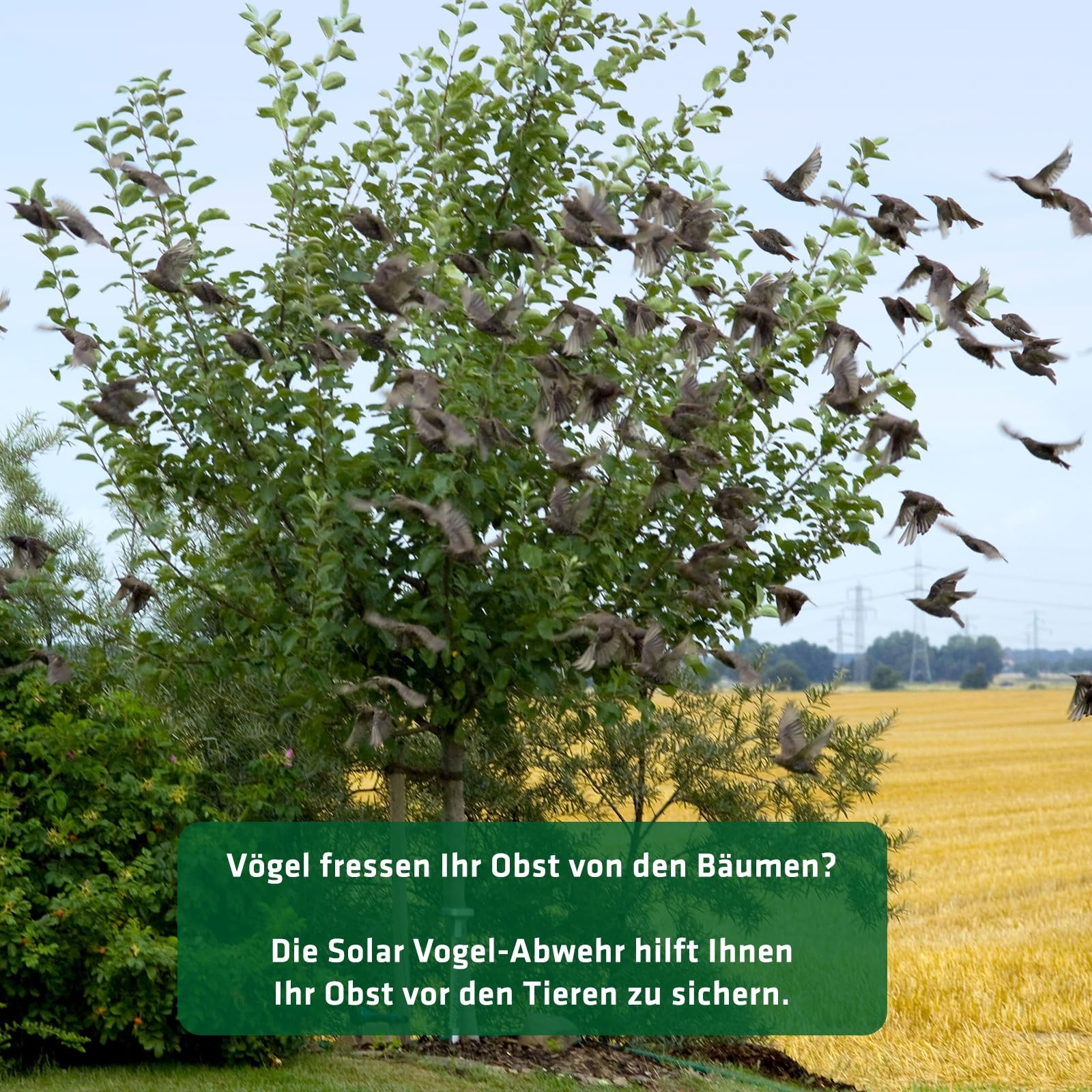 gardigo-vogel-frei-vogelabwehr-ultraschall-solar-led-tauben image 7