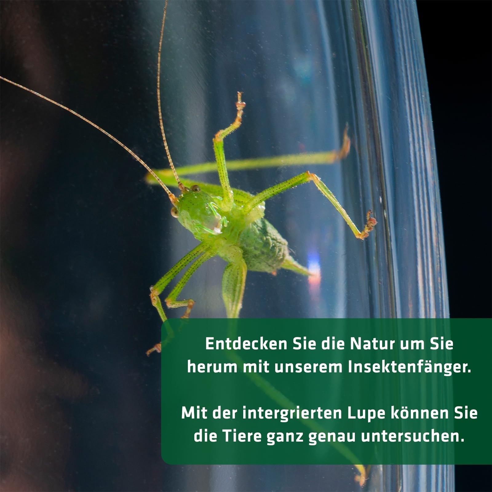 gardigo-m-use-feind-insektenf-nger-xxl-mit-lupe-teleskop image 4