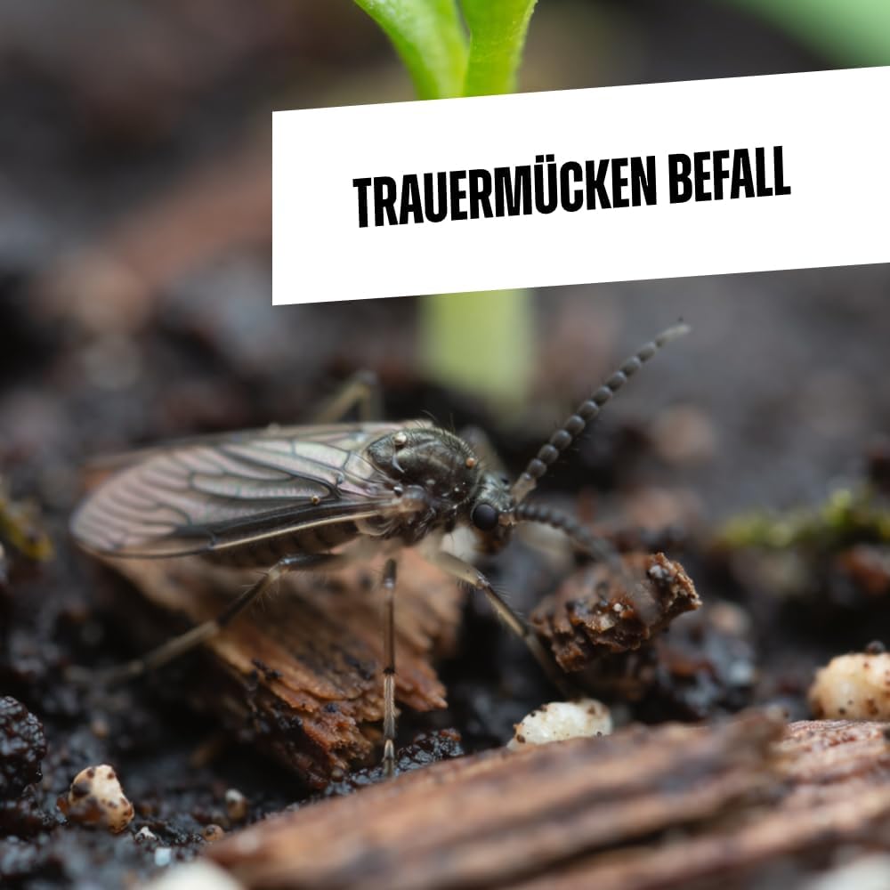 envira-universal-trauerm-cken-abwehrspray-500ml-zimmerpflanzen image 3