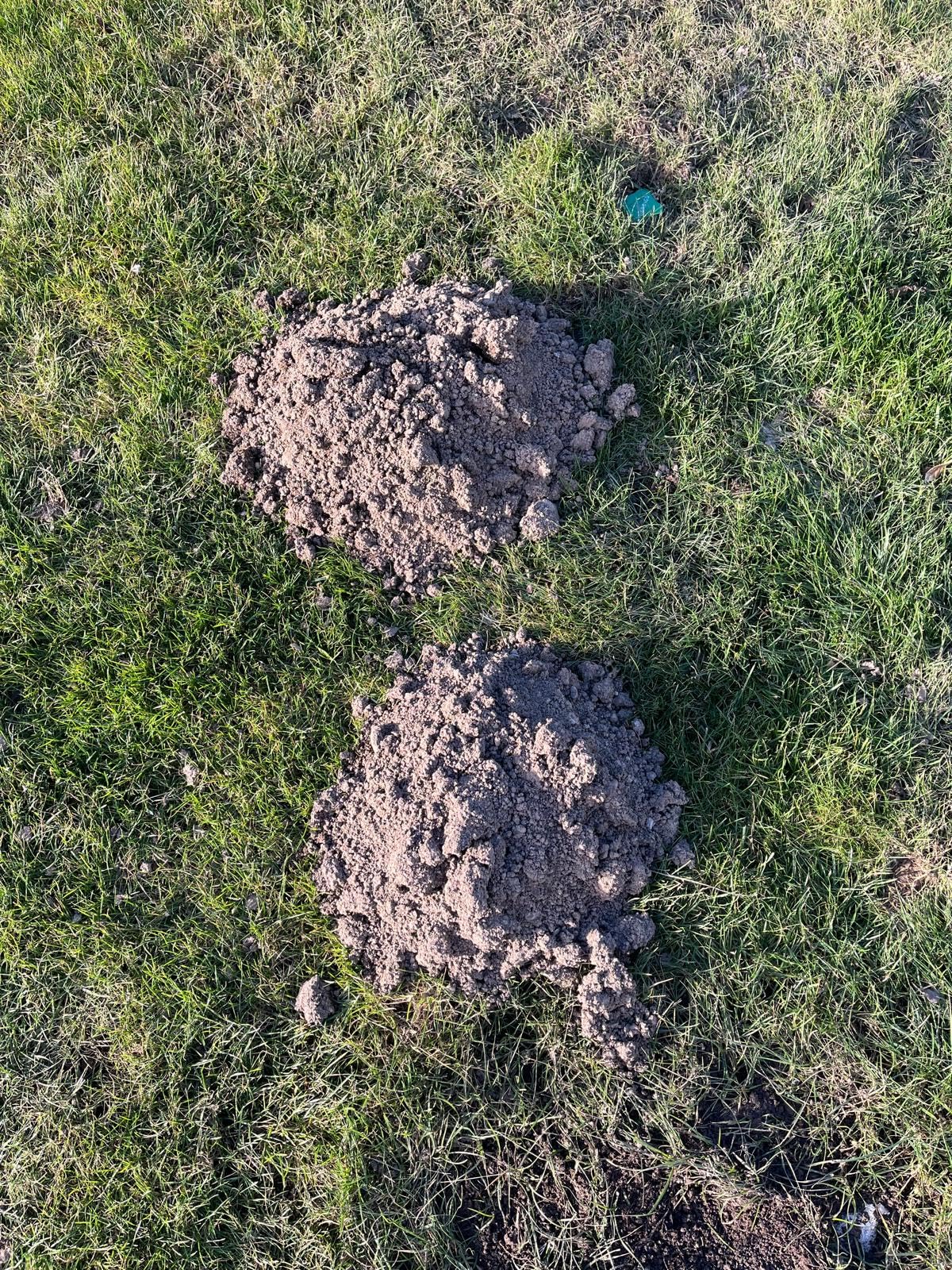Hügel werden weniger