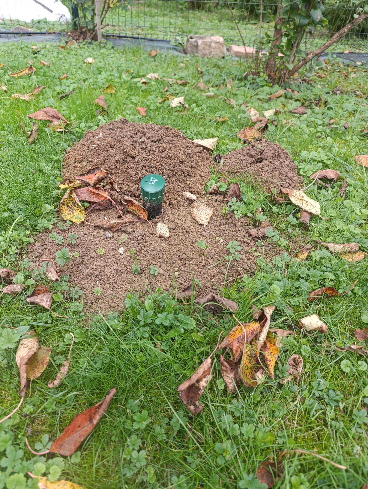Für Winter gut