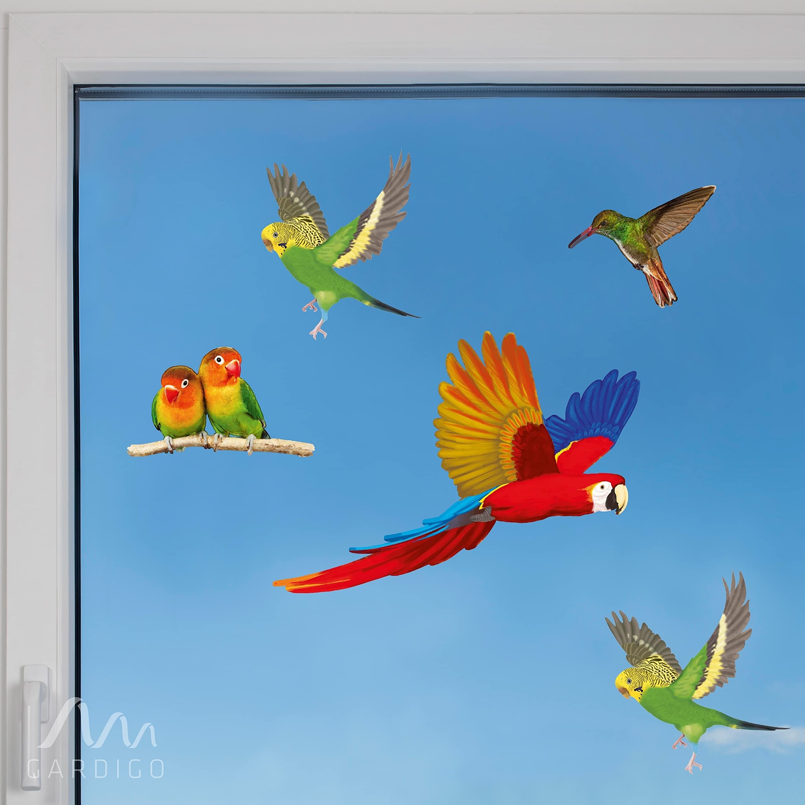 gardigo-vogel-frei-vogelschutz-aufkleber-fenster-5-st-ck-bunt image 8