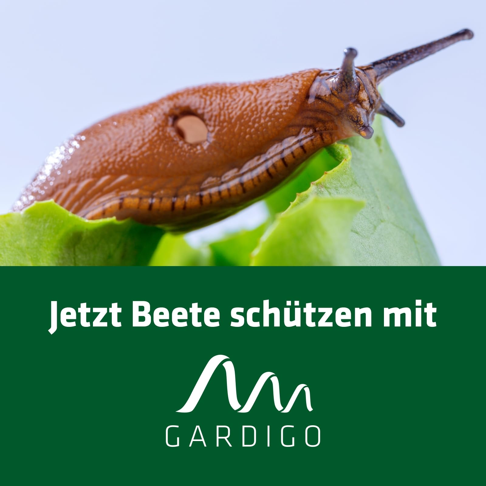gardigo-m-use-feind-schneckenfalle-4er-set-beet image 6