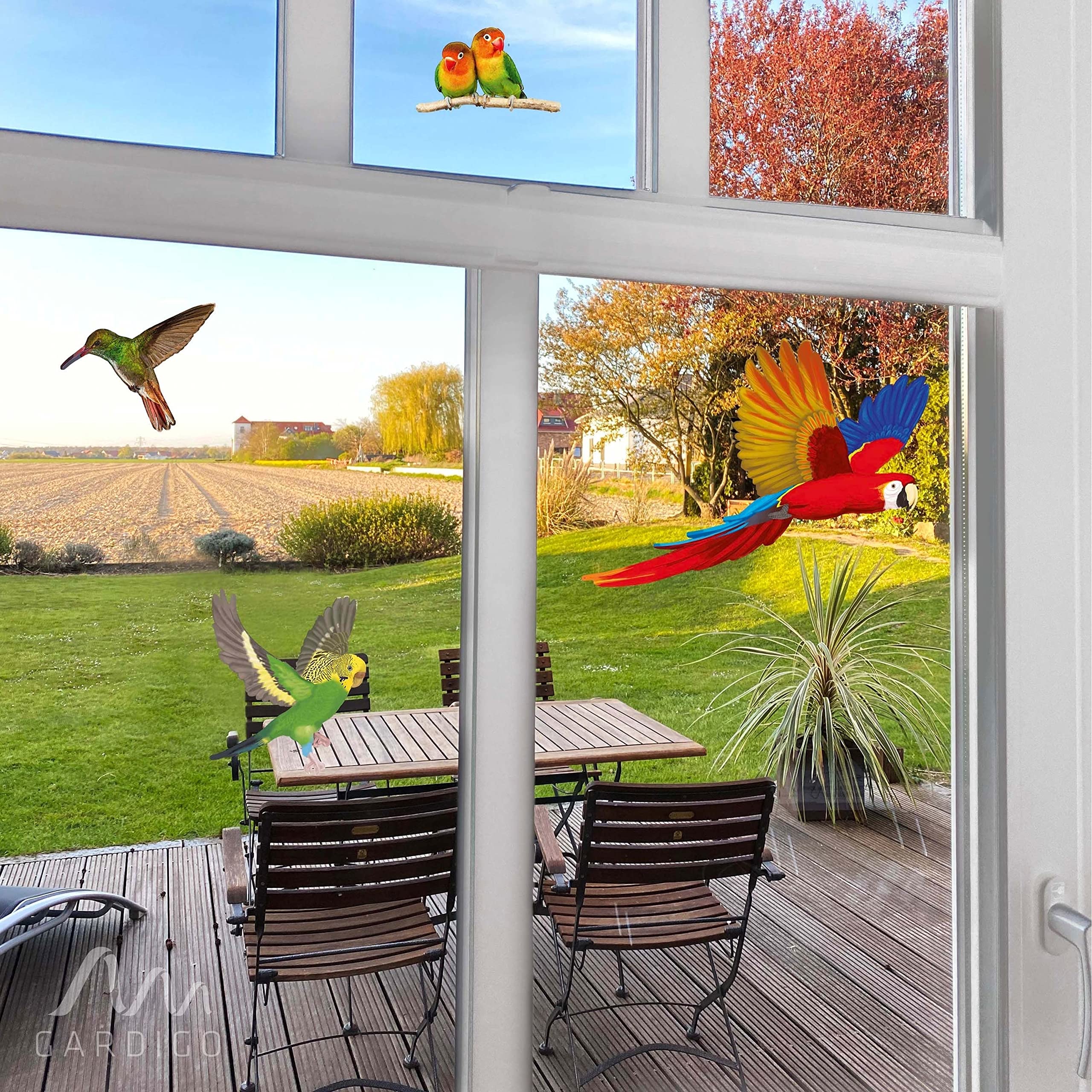 gardigo-vogel-frei-vogelschutz-aufkleber-fenster-5-st-ck-bunt image 6
