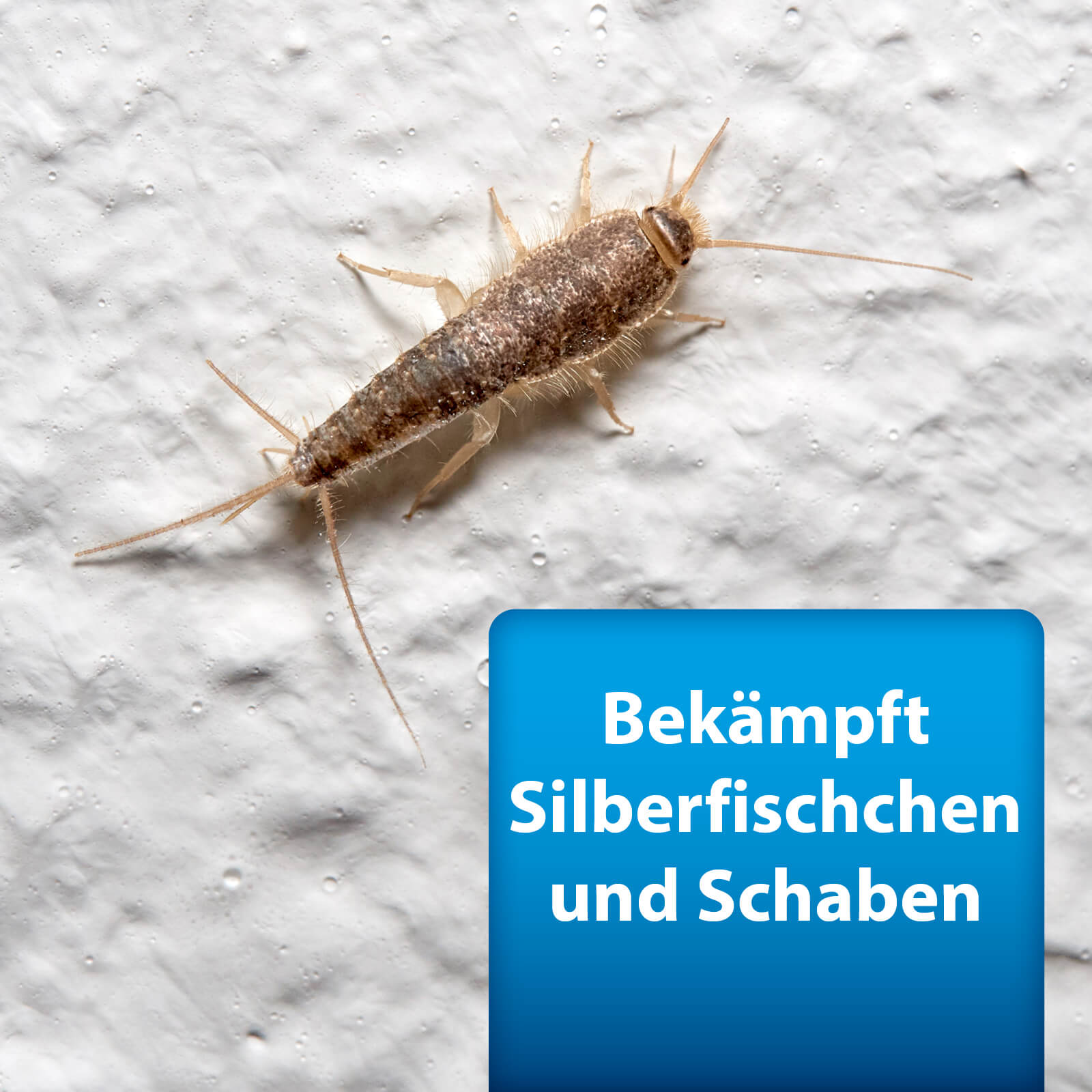 ardap-pro-silberfisch-k-derdose-4-st-ck-gegen-schaben image 2