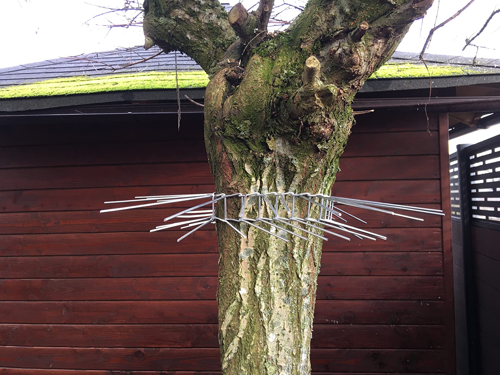 Vögel sind sicher
