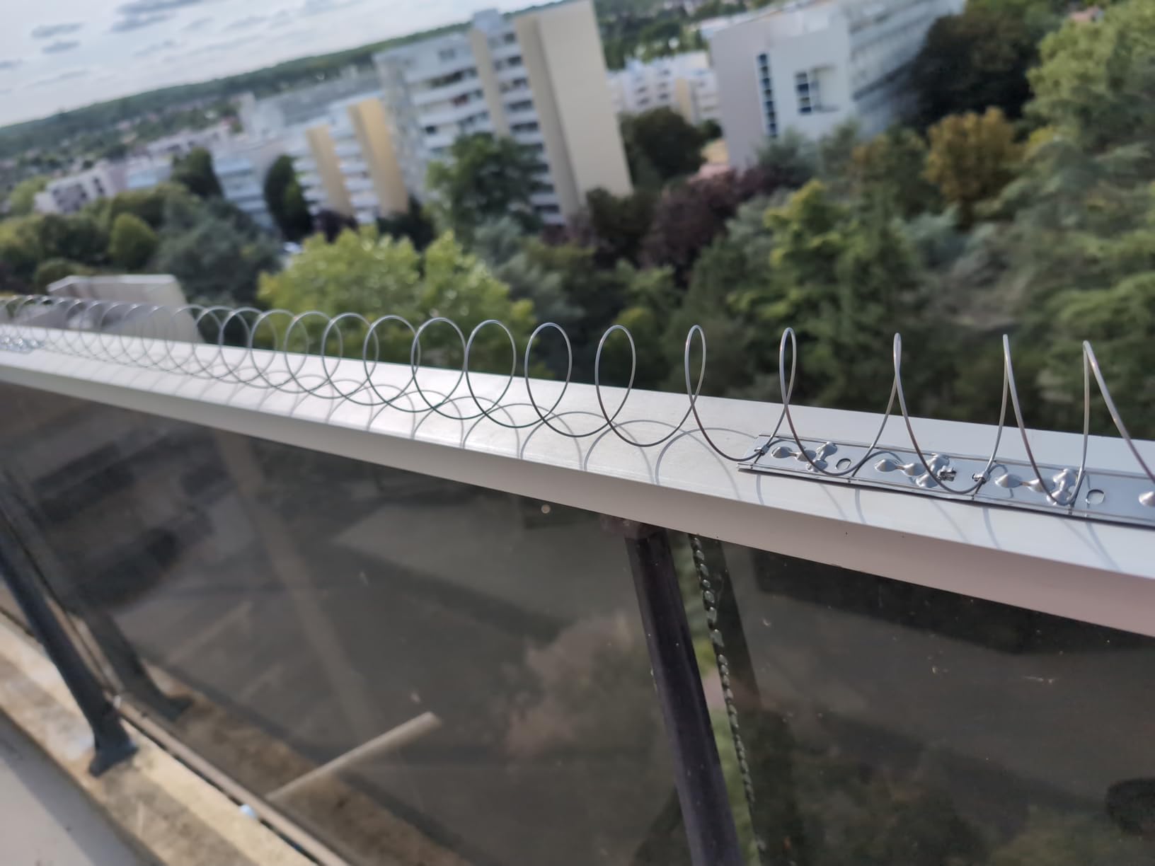Tauben weg