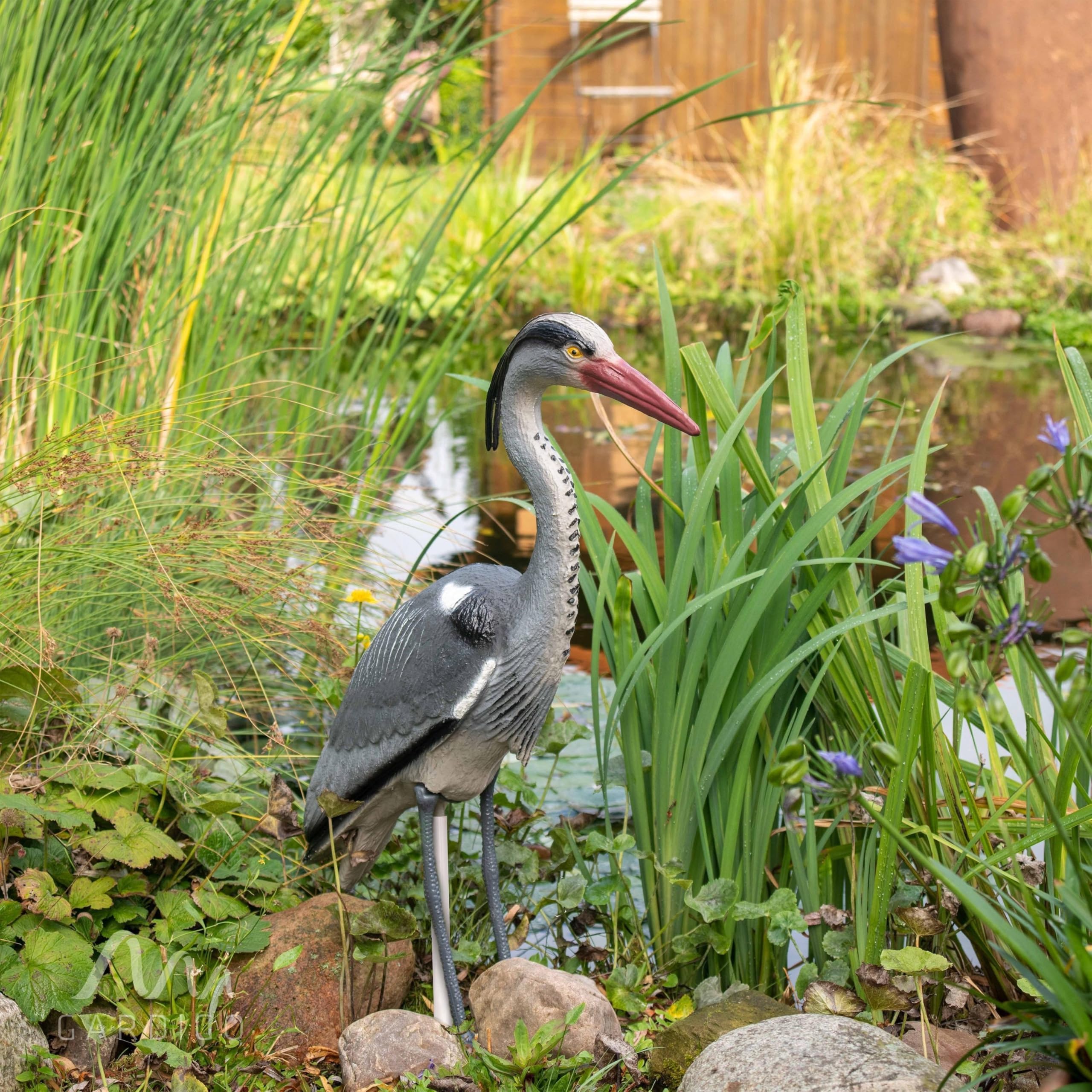 gardigo-vogel-frei-fischreiher-figur-teichdeko-mit-erdspie image 5