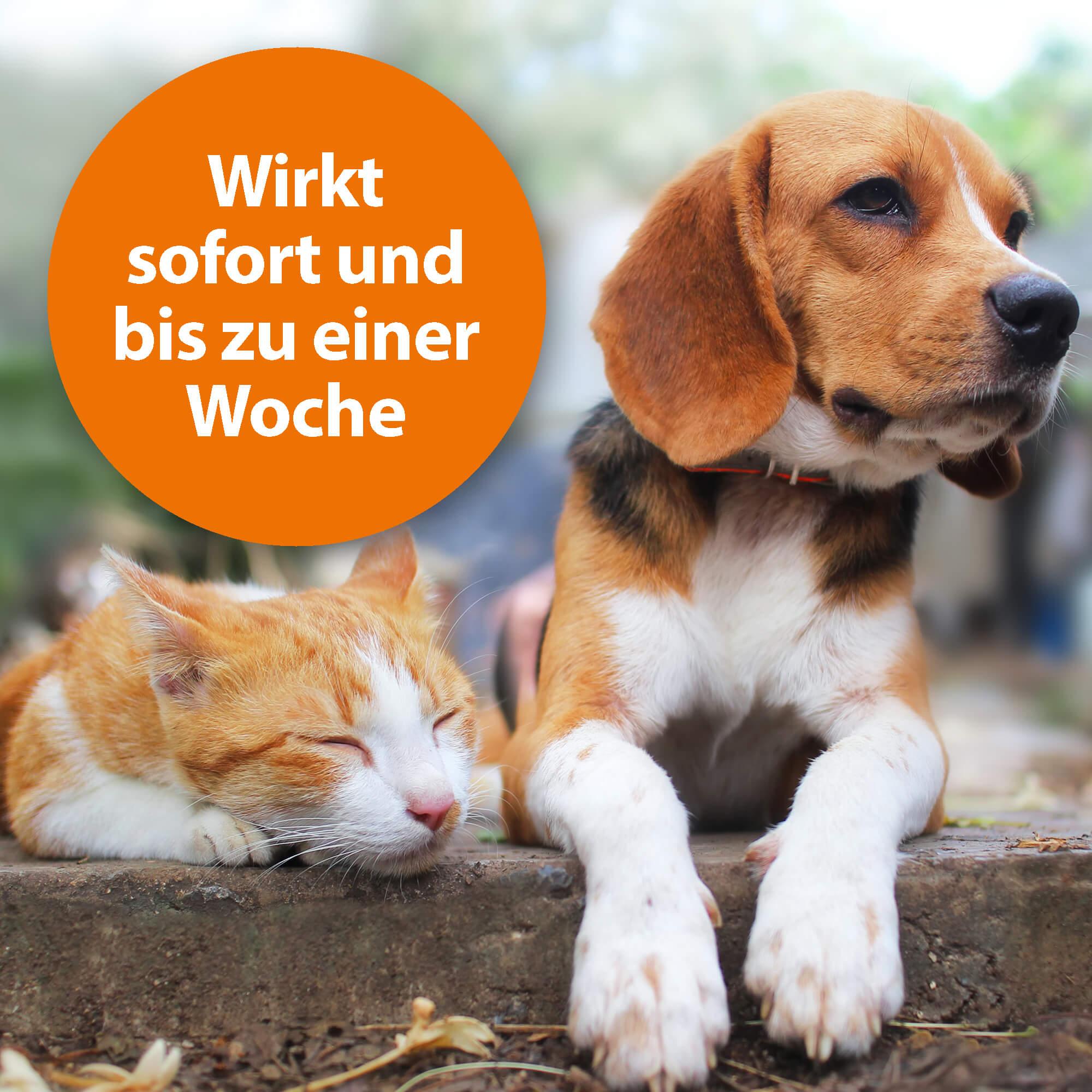 ardap-repell-zecken-und-flohpuder-hund-katze-150-g image 2
