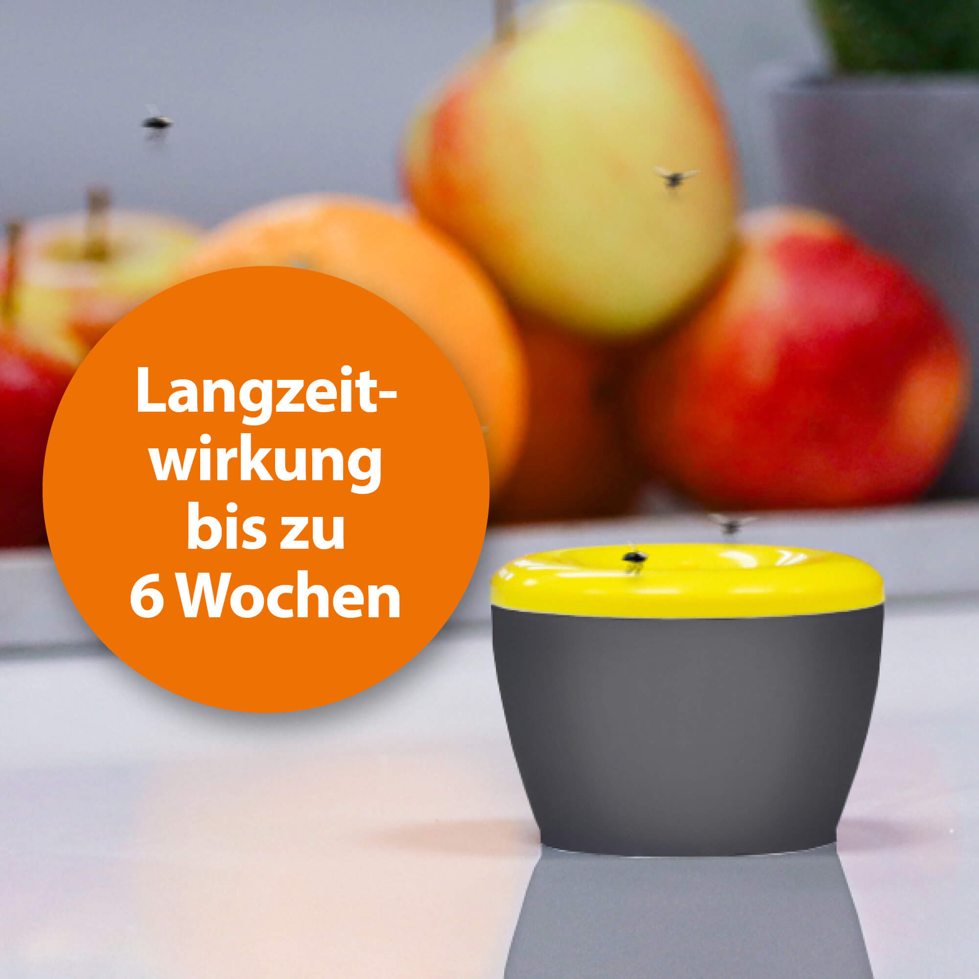 ardap-pro-fruchtfliegenfalle-insektizidfrei-6-wochen image 2