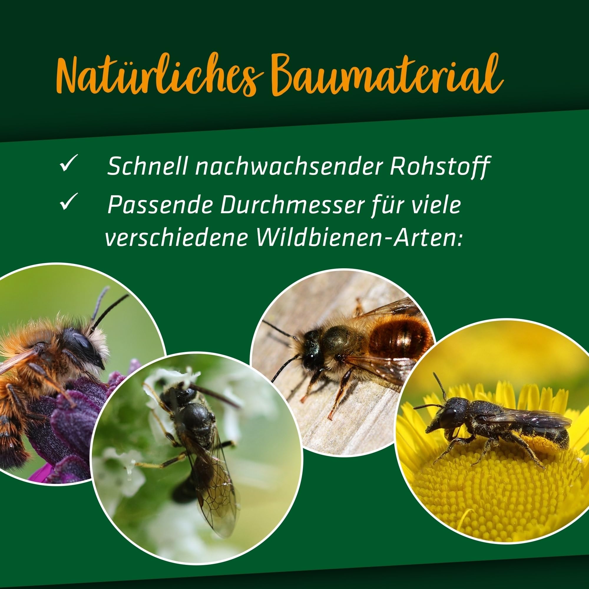 gardigo-gardosi-bambusr-hrchen-premium-150-st-ck-wildbienen image 5