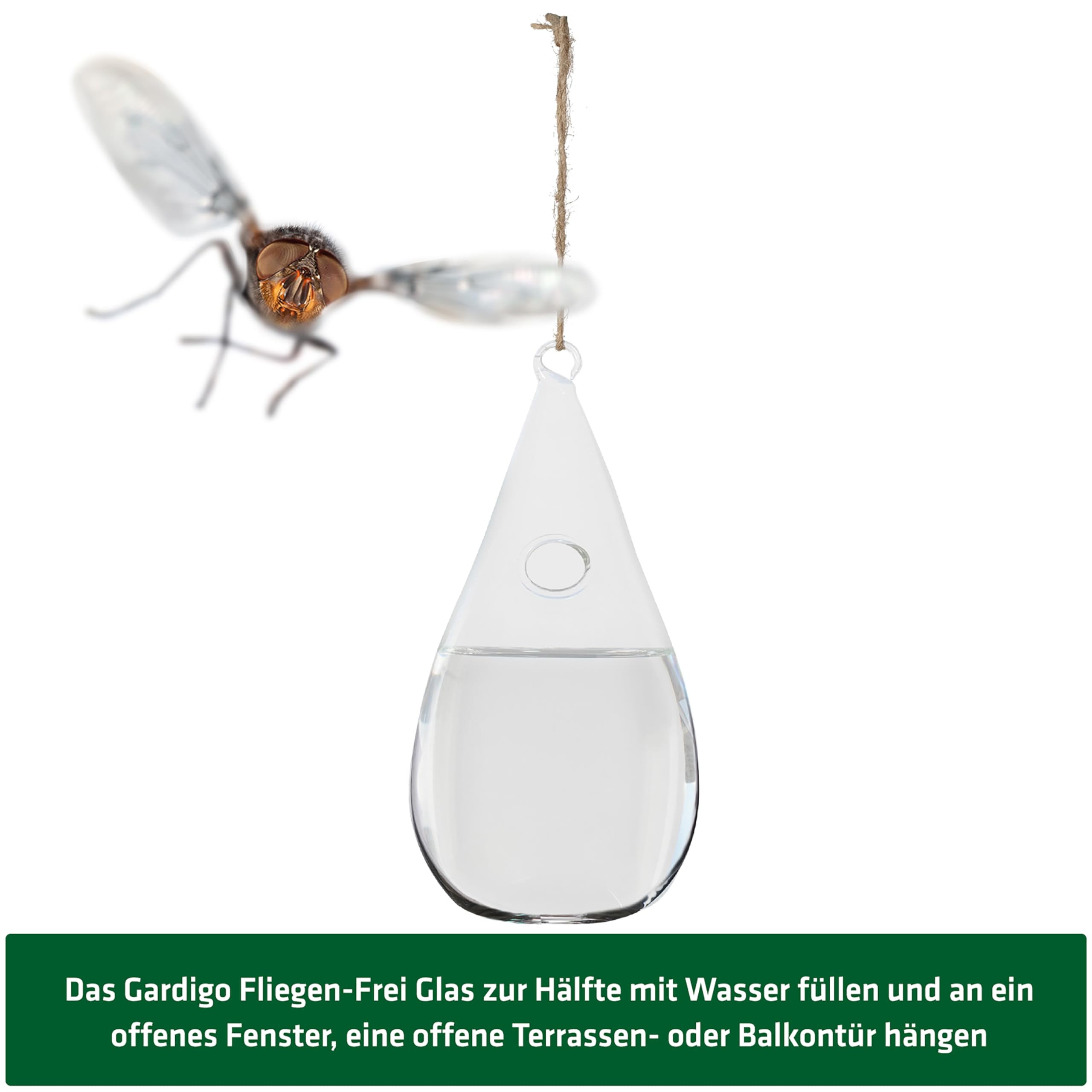 gardigo-klatschigo-fliegenglas-fliegenabwehr-10x20-cm-ohne-gift image 5