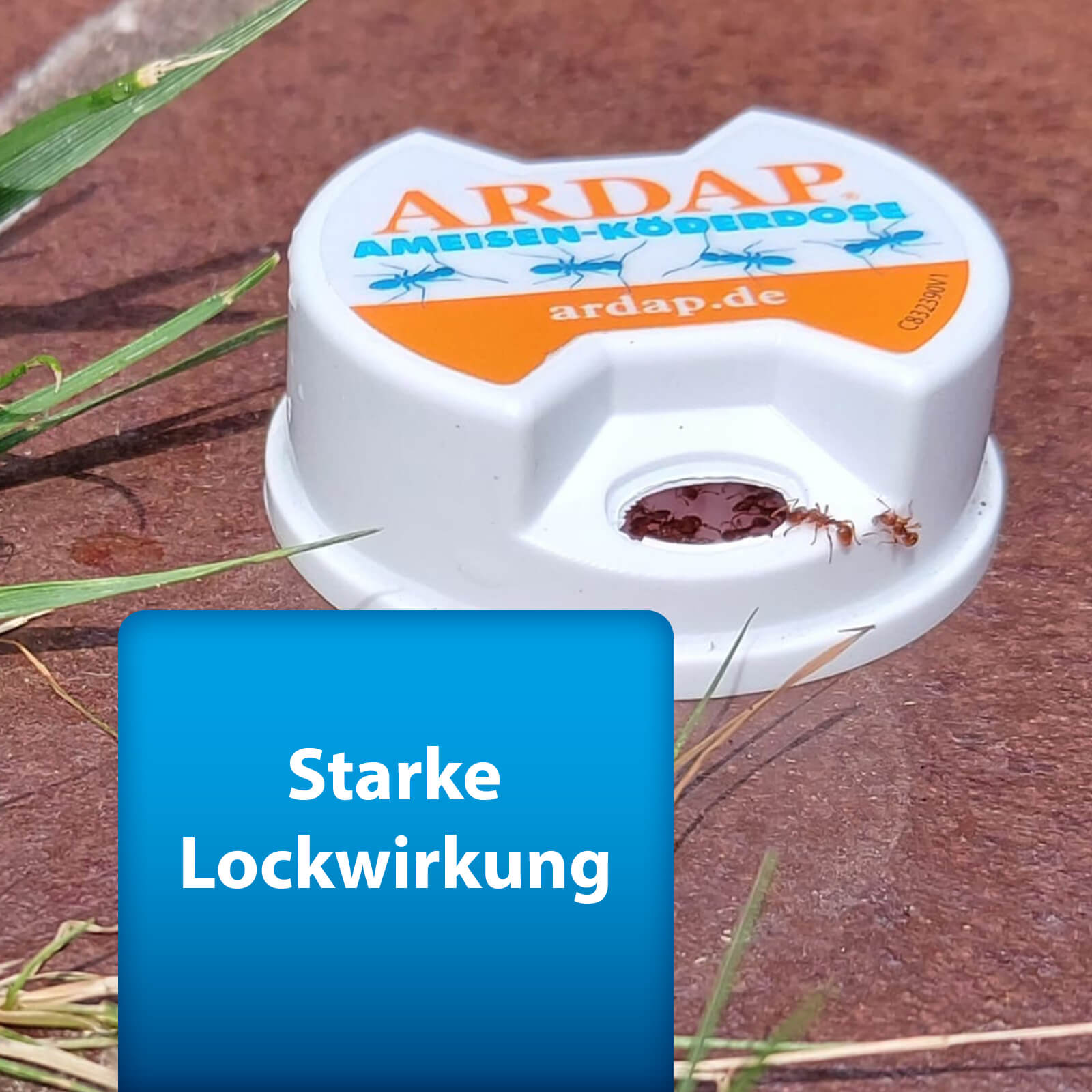 ardap-pro-ameisenk-derdose-3-st-ck-mit-nestwirkung image 6