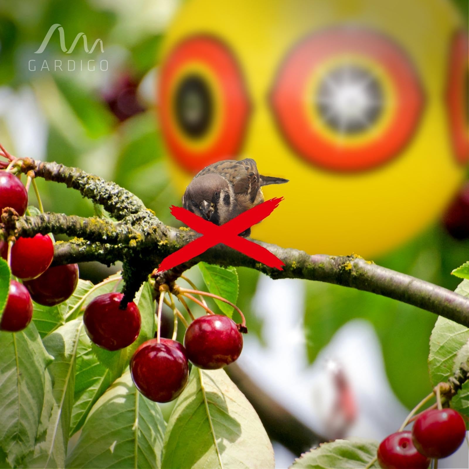 gardigo-vogel-frei-ballon-2er-set-vogelscheuche-mit-augen image 3