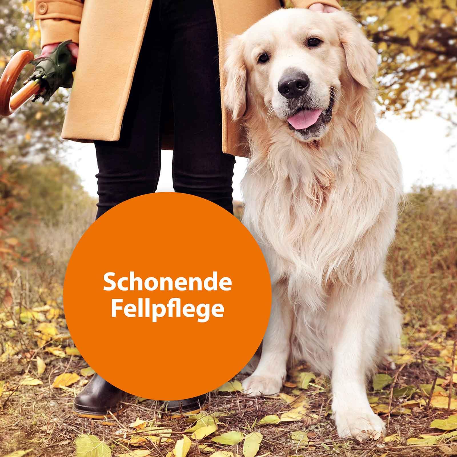 ardap-floh-und-staubkamm-f-r-hunde-und-katzen-fellpflege image 3