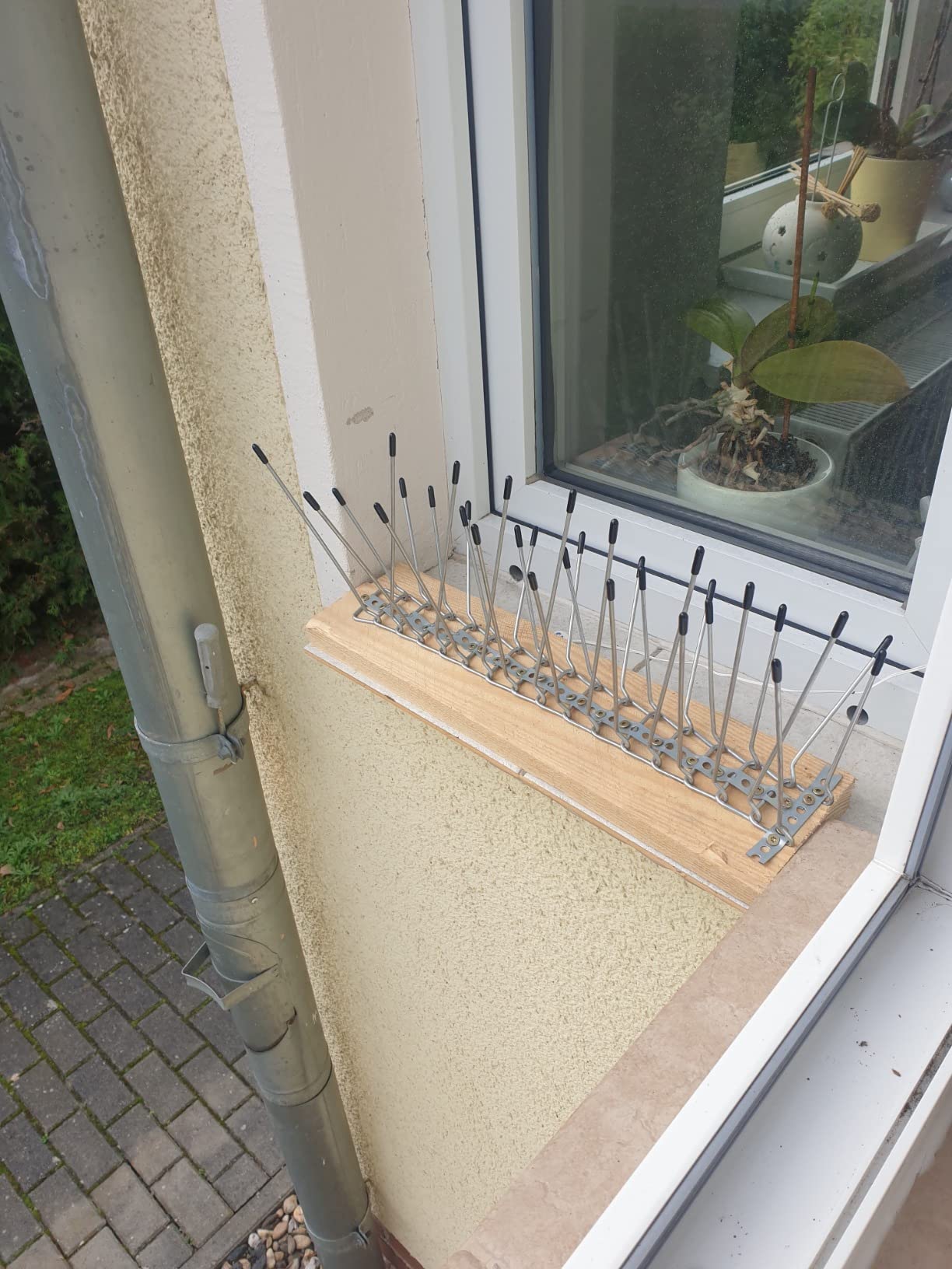 Tut seinen Dienst