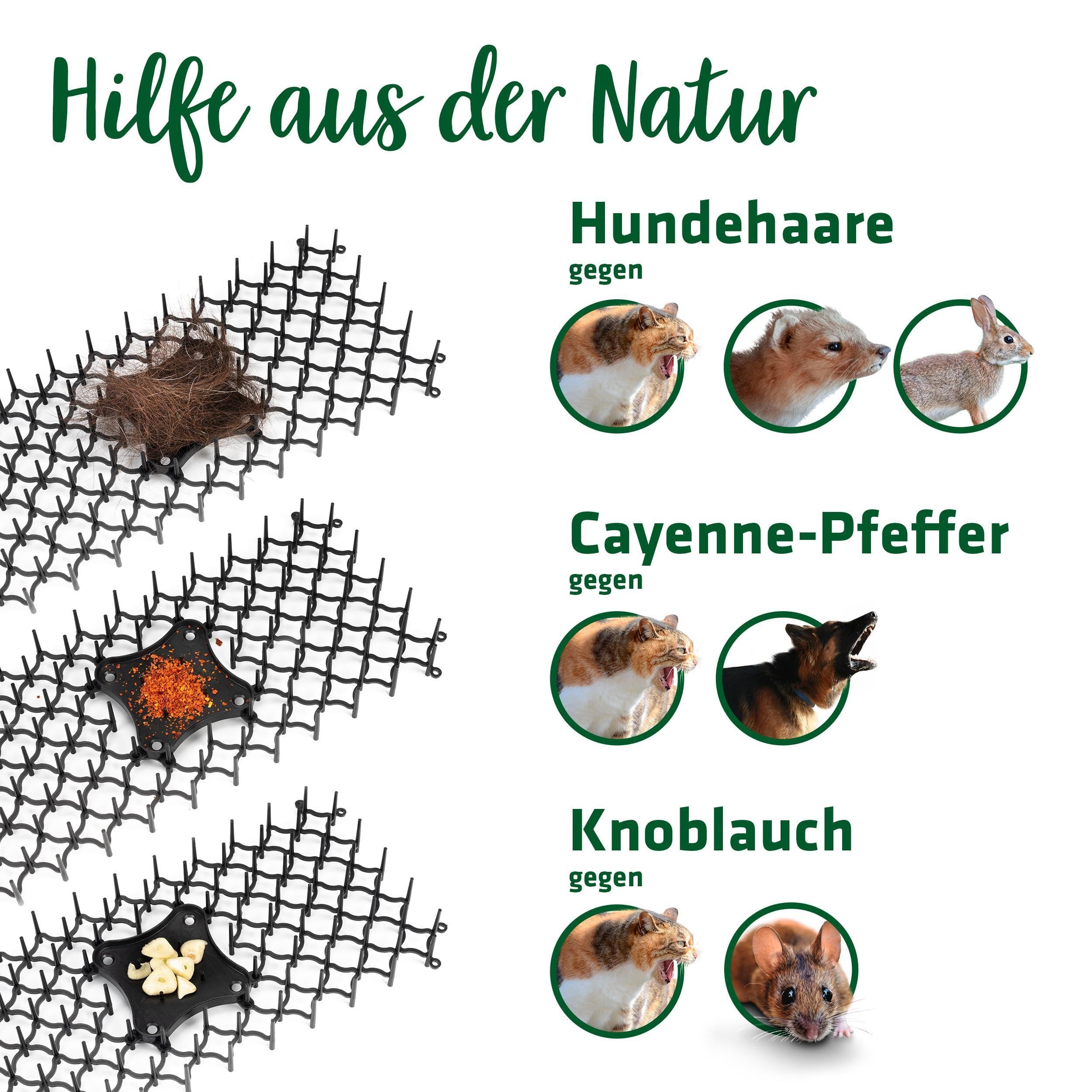gardigo-vogel-frei-dornengitter-12er-set-katzenabwehr image 6
