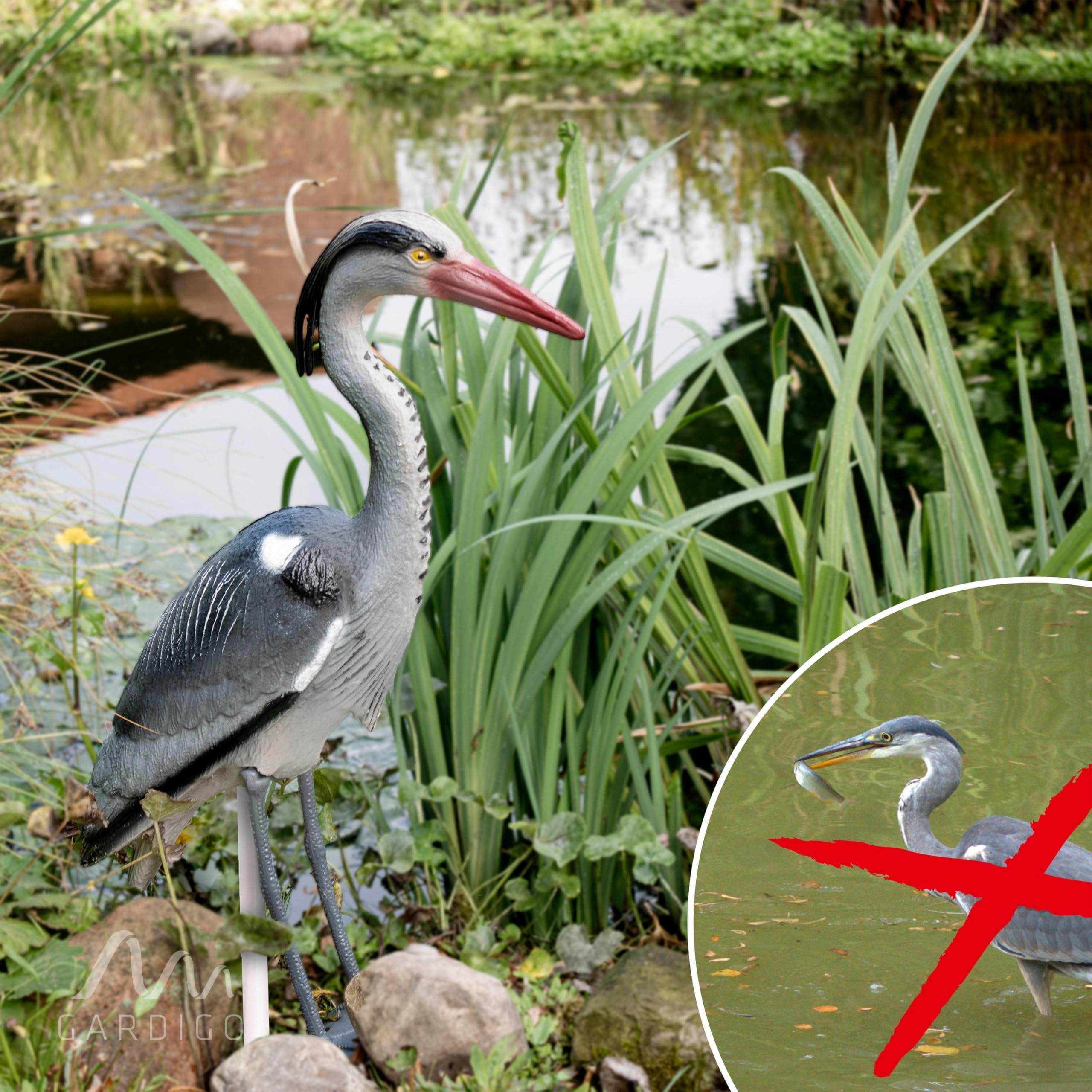 gardigo-vogel-frei-fischreiher-figur-teichdeko-mit-erdspie image 6